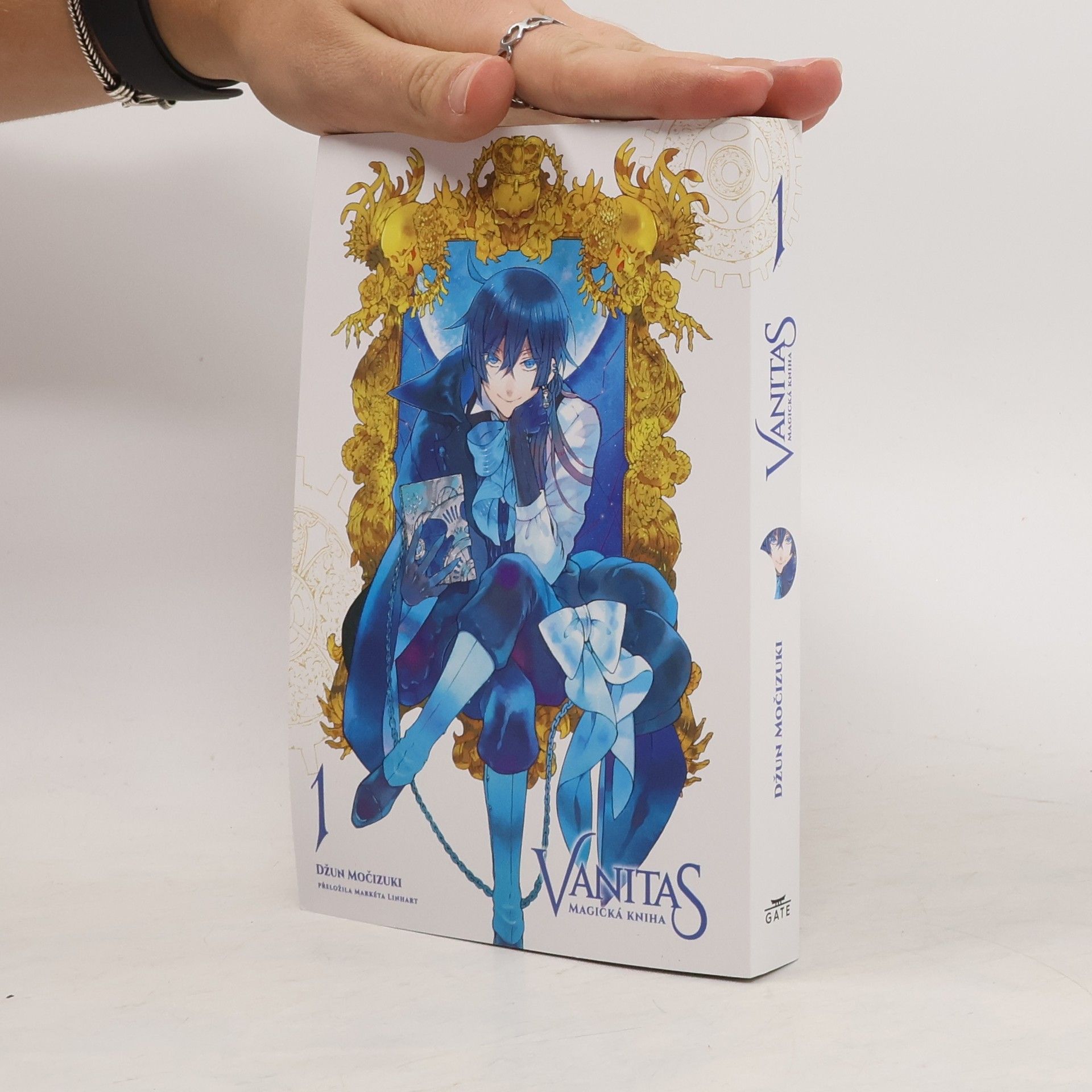 Jun Mochizuki Vanitas 1