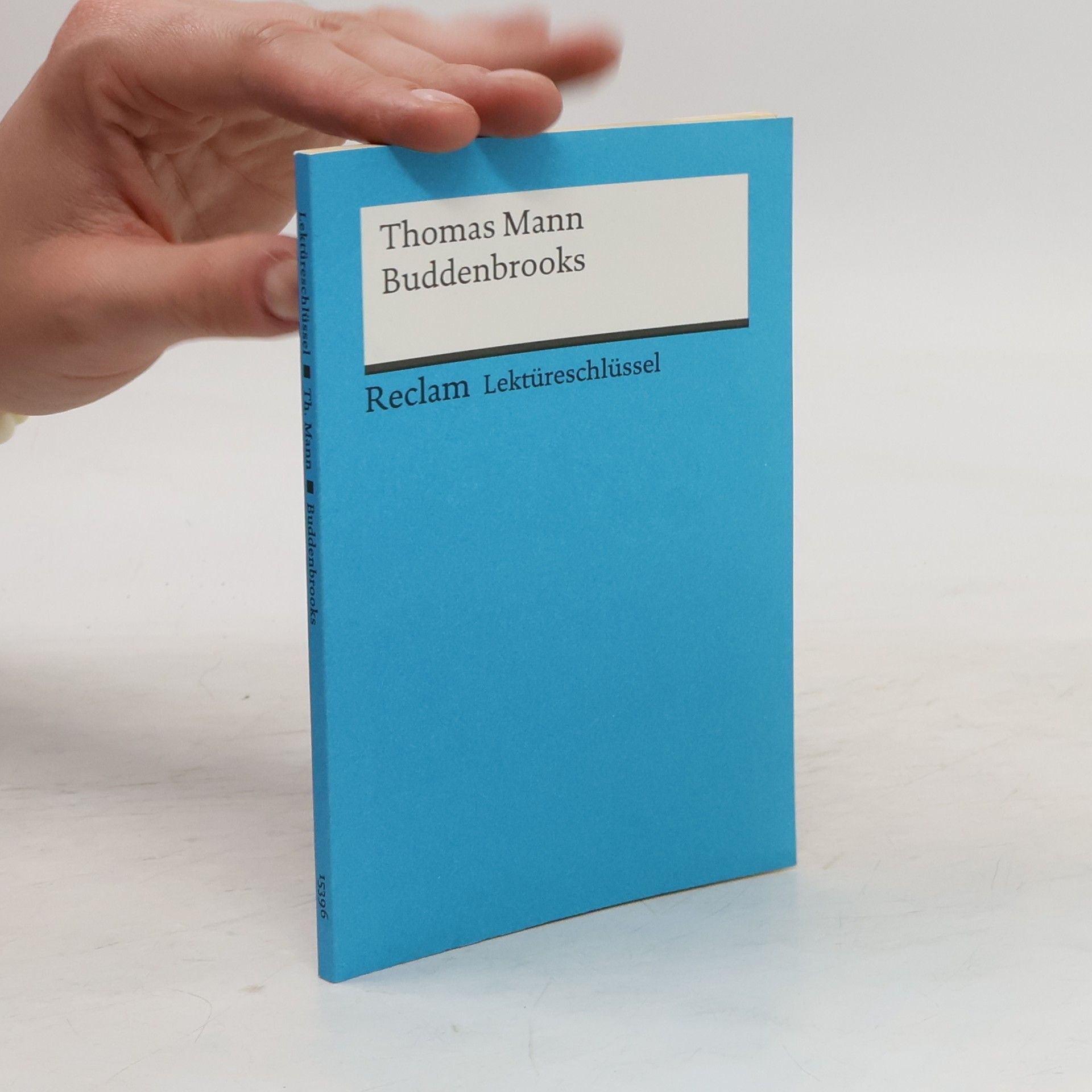 Thomas Mann, Buddenbrooks