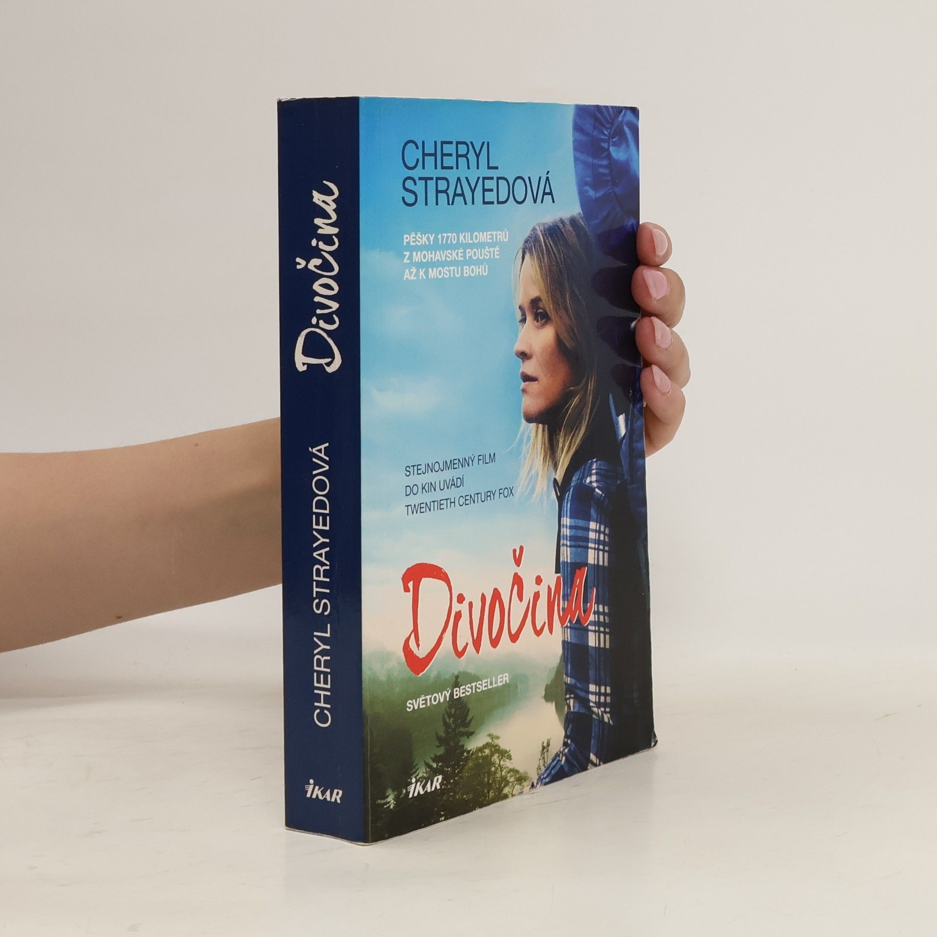 Cheryl Strayed Divočina. Pěšky 1770 kilometrů z Mohavské pouště až k mostu bohů