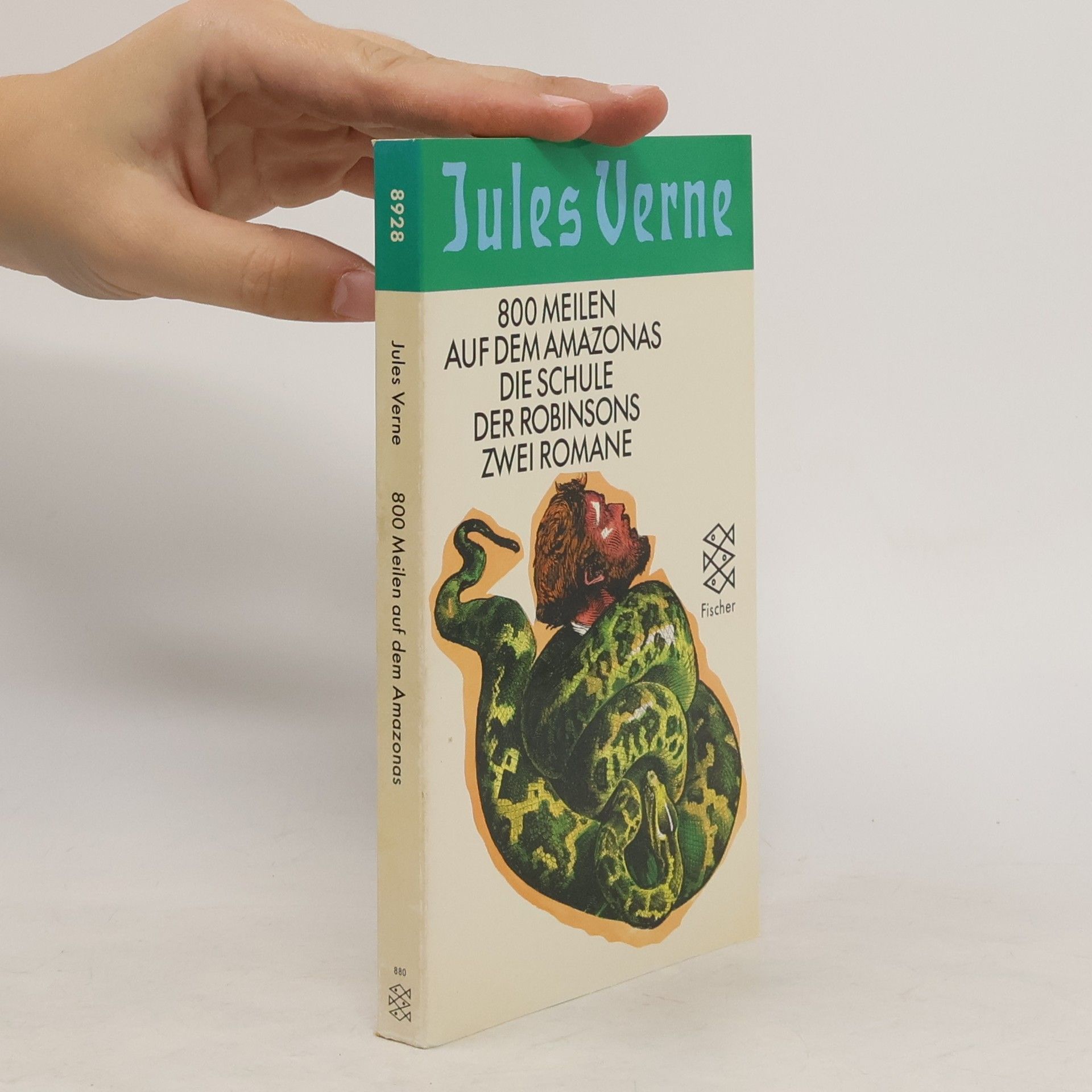 Jules Verne Achthundert Meilen auf dem Amazonas. Die Schule der Robinsons. Zwei Romane