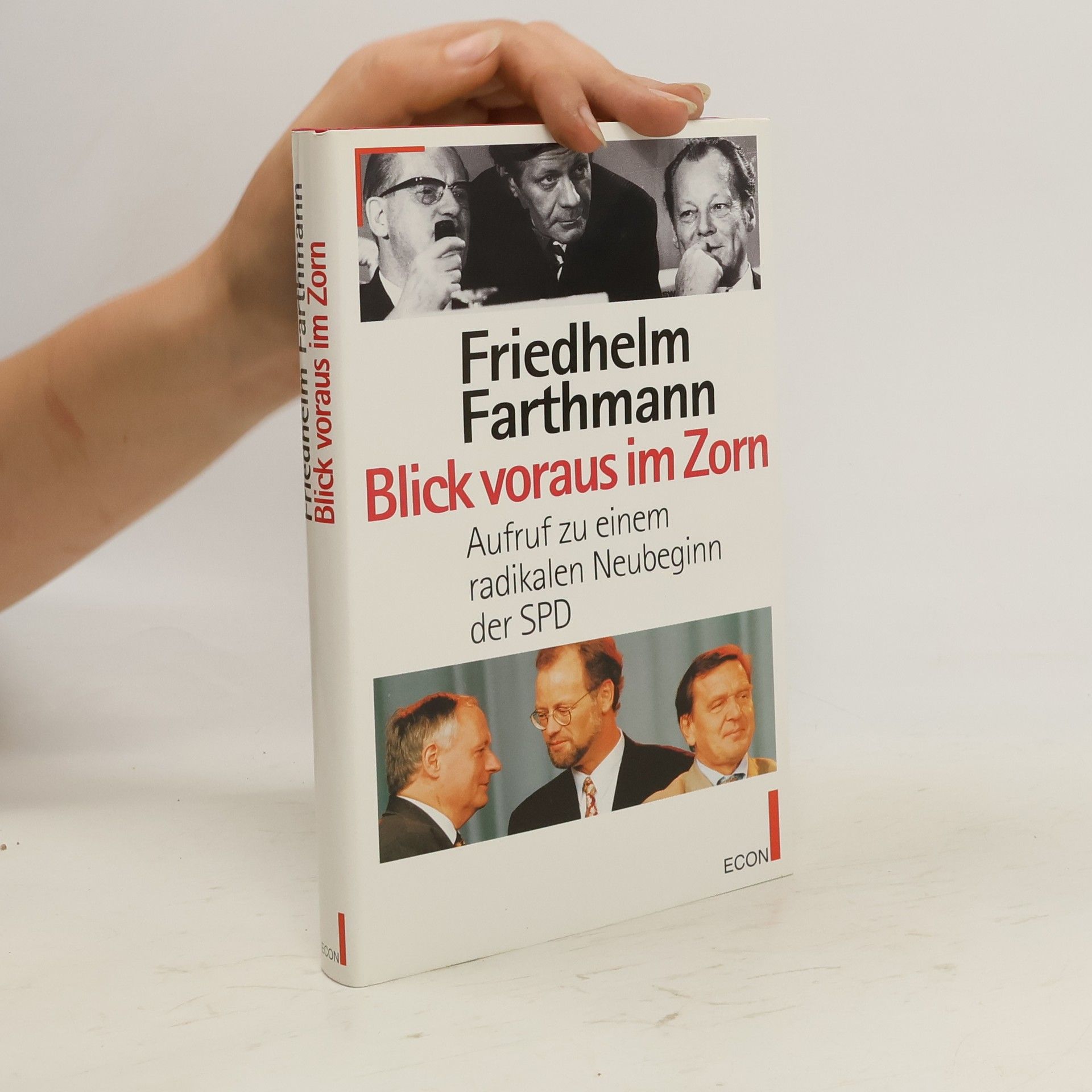 Friedhelm Farthmann Blick voraus im Zorn