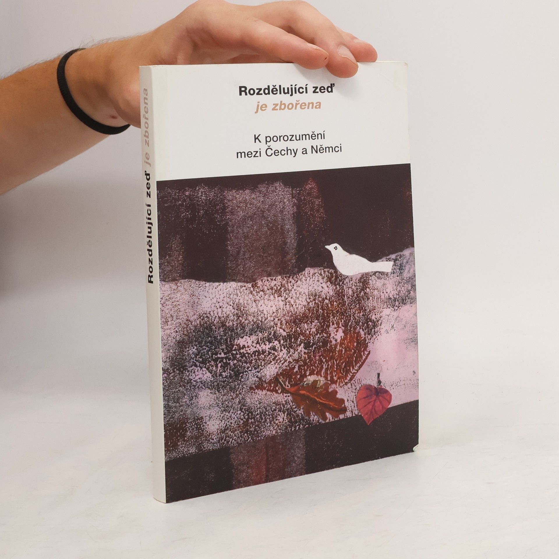 Collectif d'auteurs Rozdělující zeď je zbořena