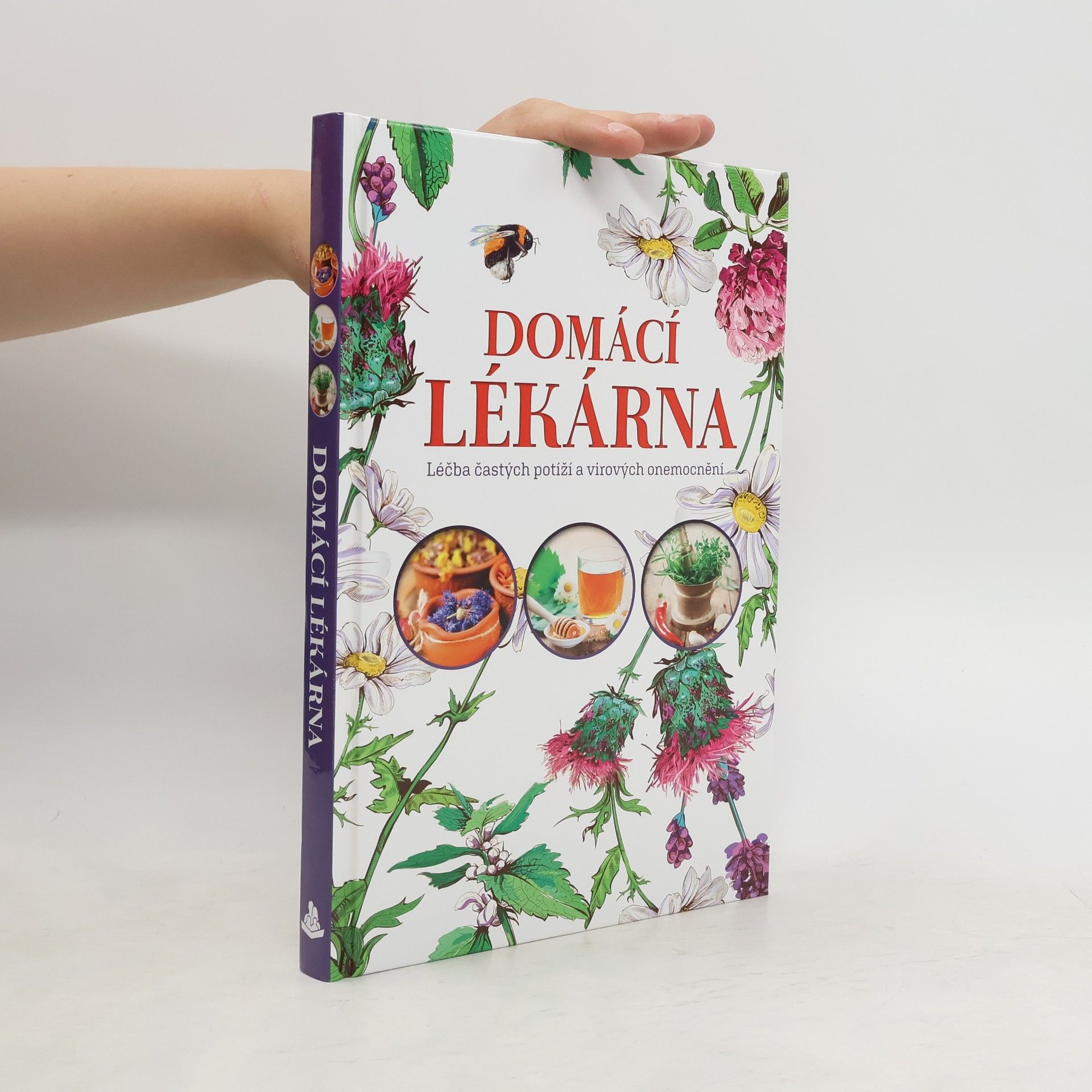 Domácí lékárna: Léčba častých potíží a virových onemocnění