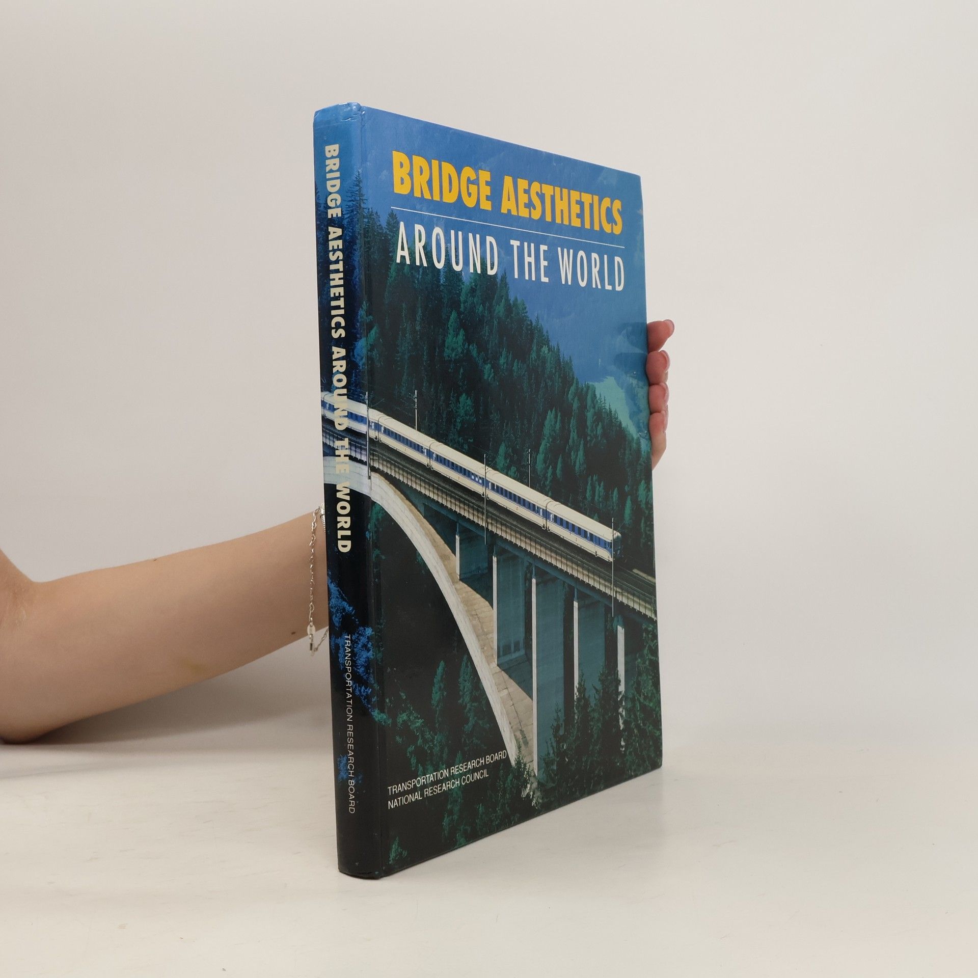 Collectif d'auteurs Bridge Aesthetics Around the World