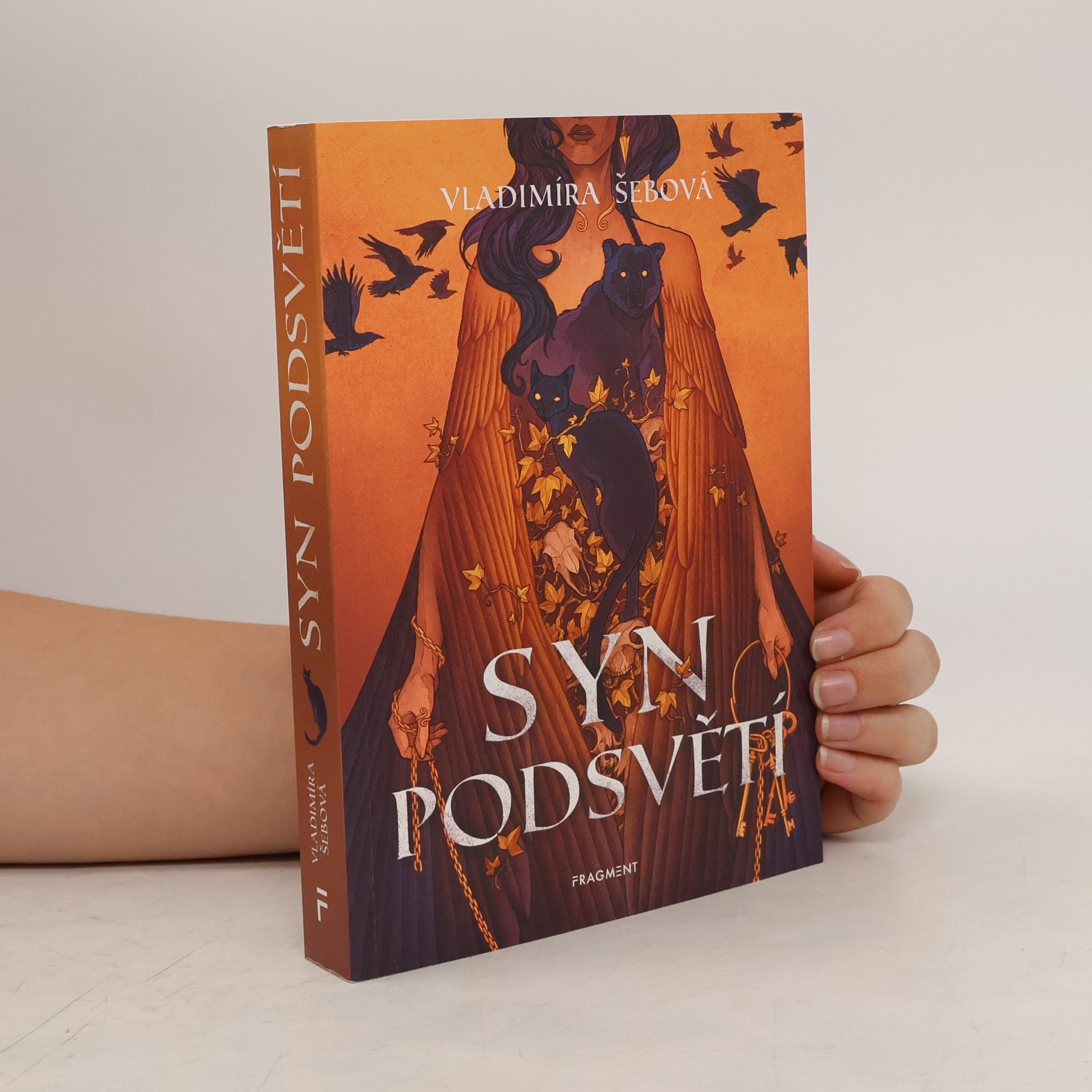 Vladimíra Šebová Syn podsvětí