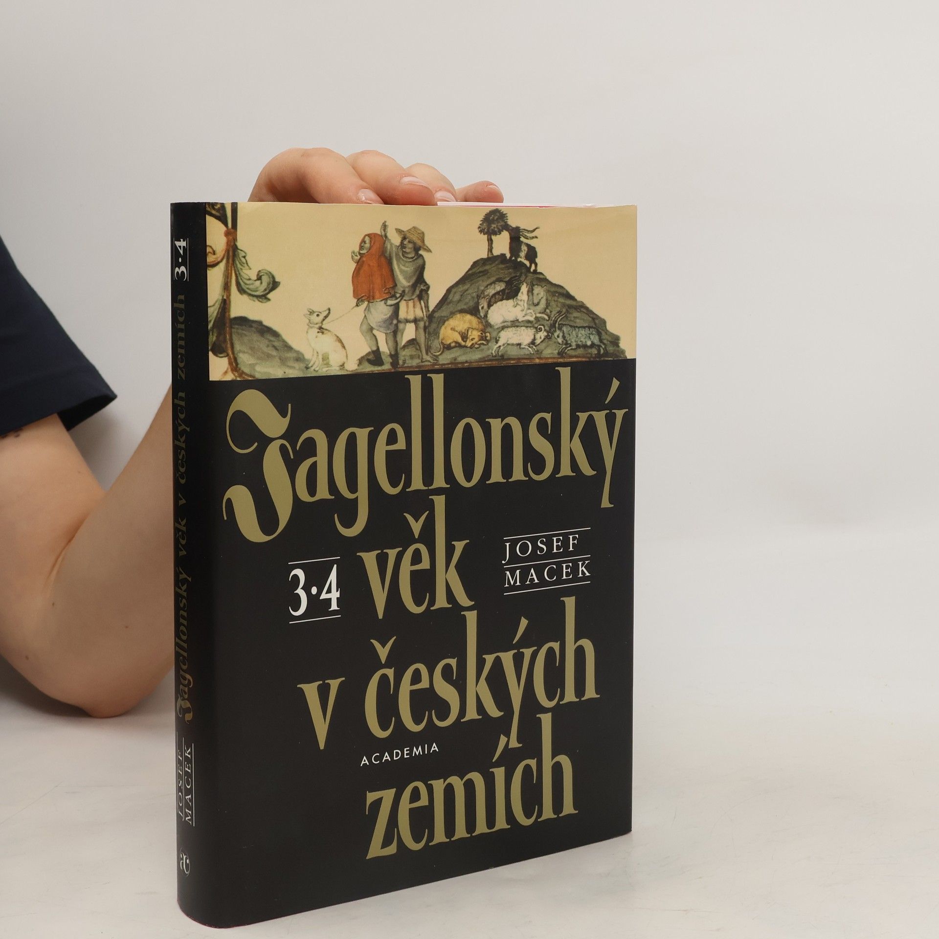 Josef Macek Jagellonský věk v českých zemích