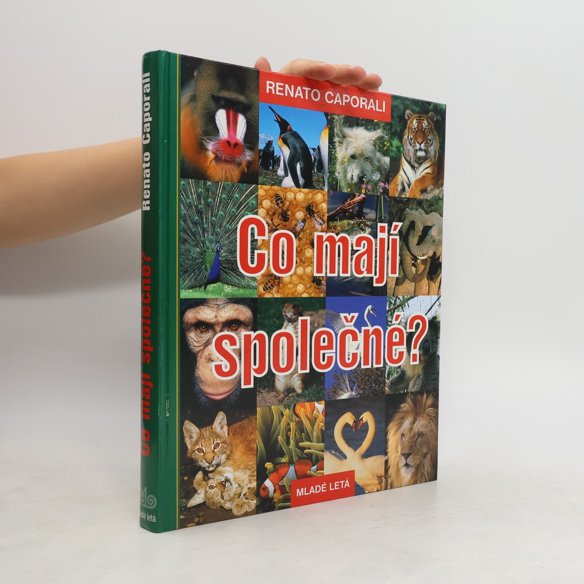 Renato Caporali Co mají společné?