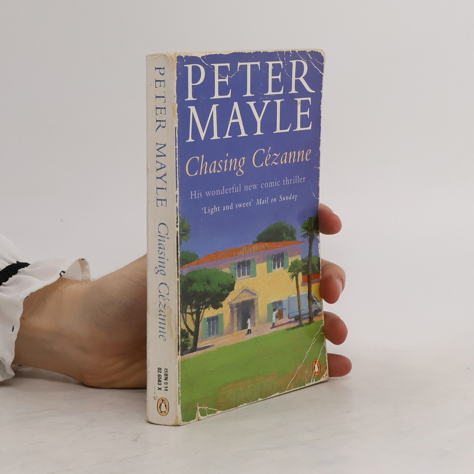 Peter Mayle Chasing Cézanne.