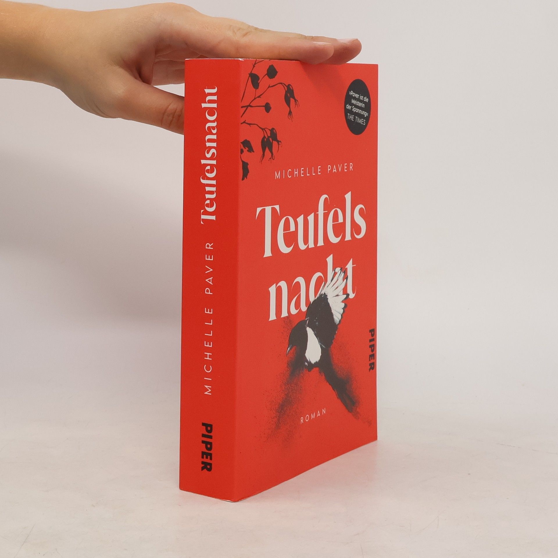 Michelle Paver Teufelsnacht