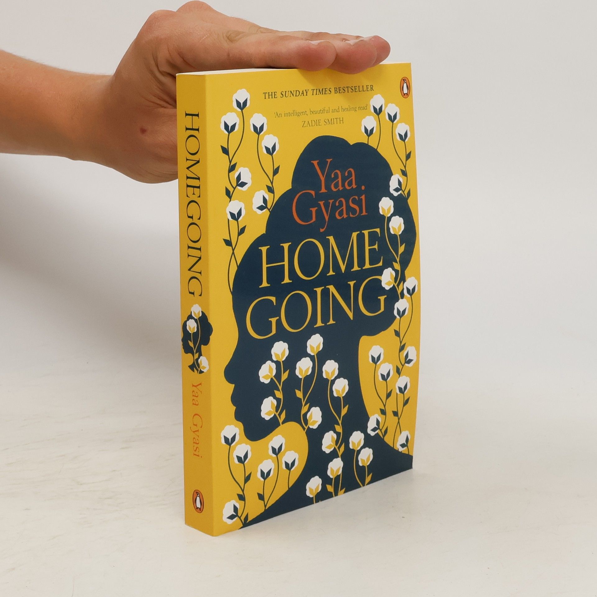 Yaa Gyasi Homegoing