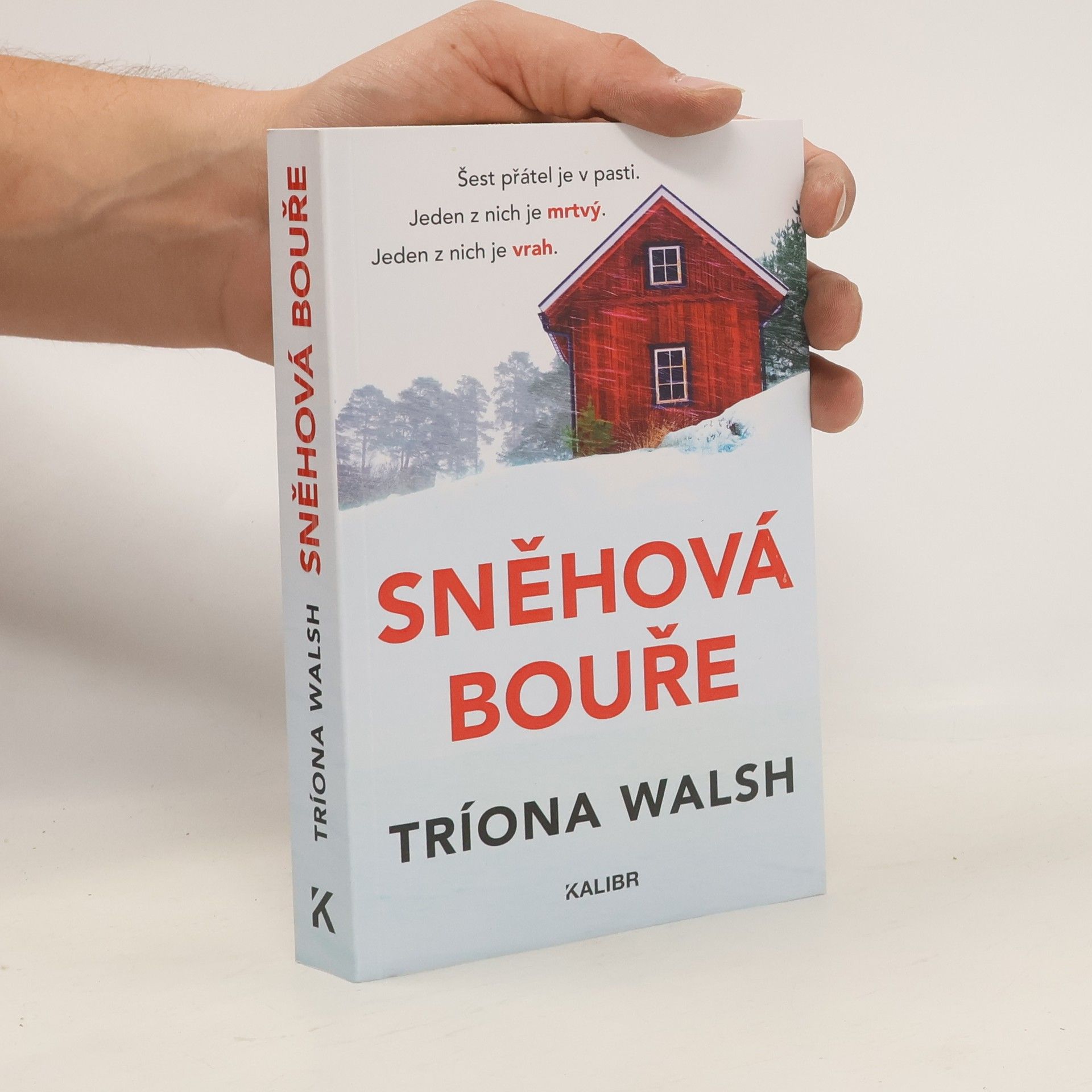 Tríona Walsh Sněhová bouře