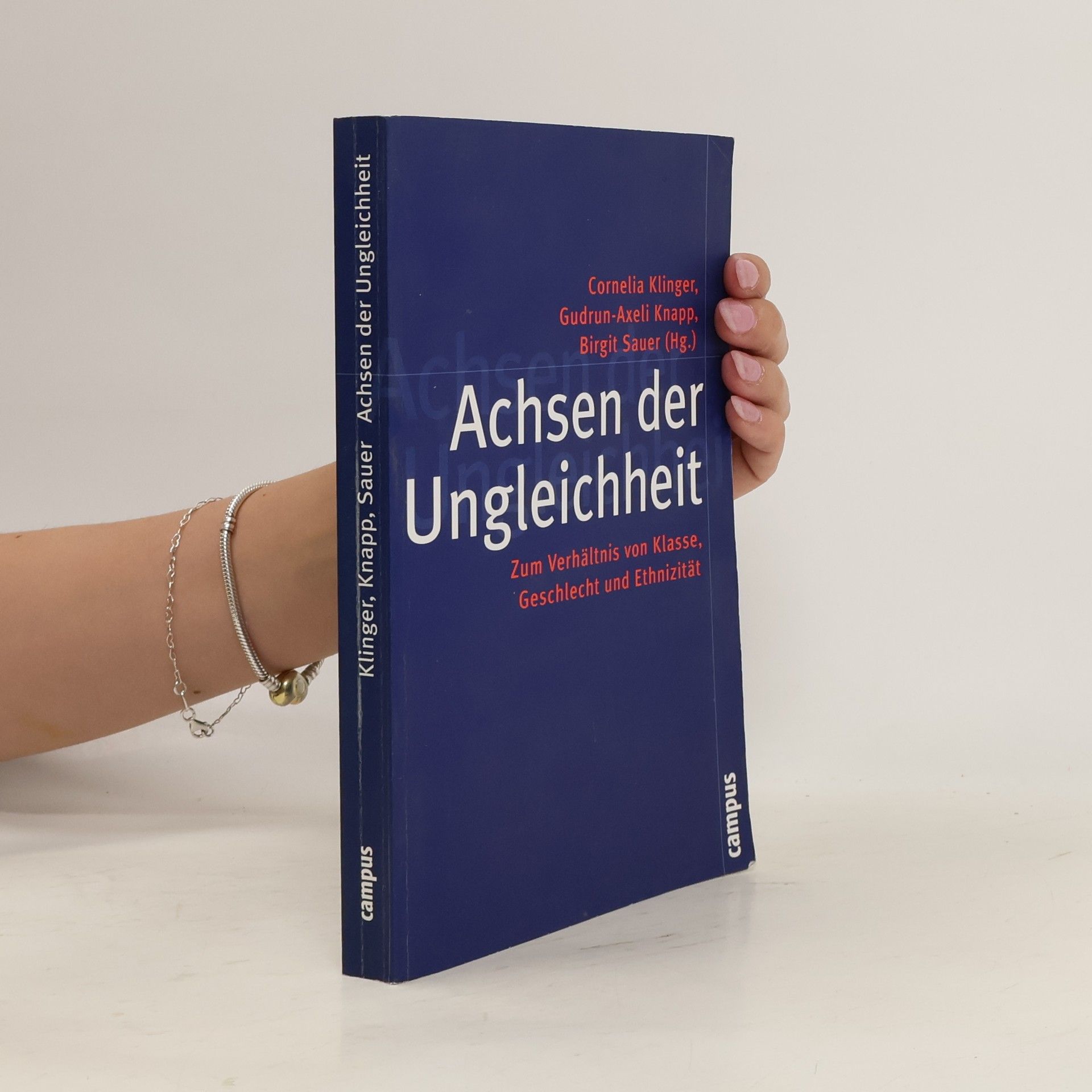 Cornelia Klinger Achsen der Ungleichheit