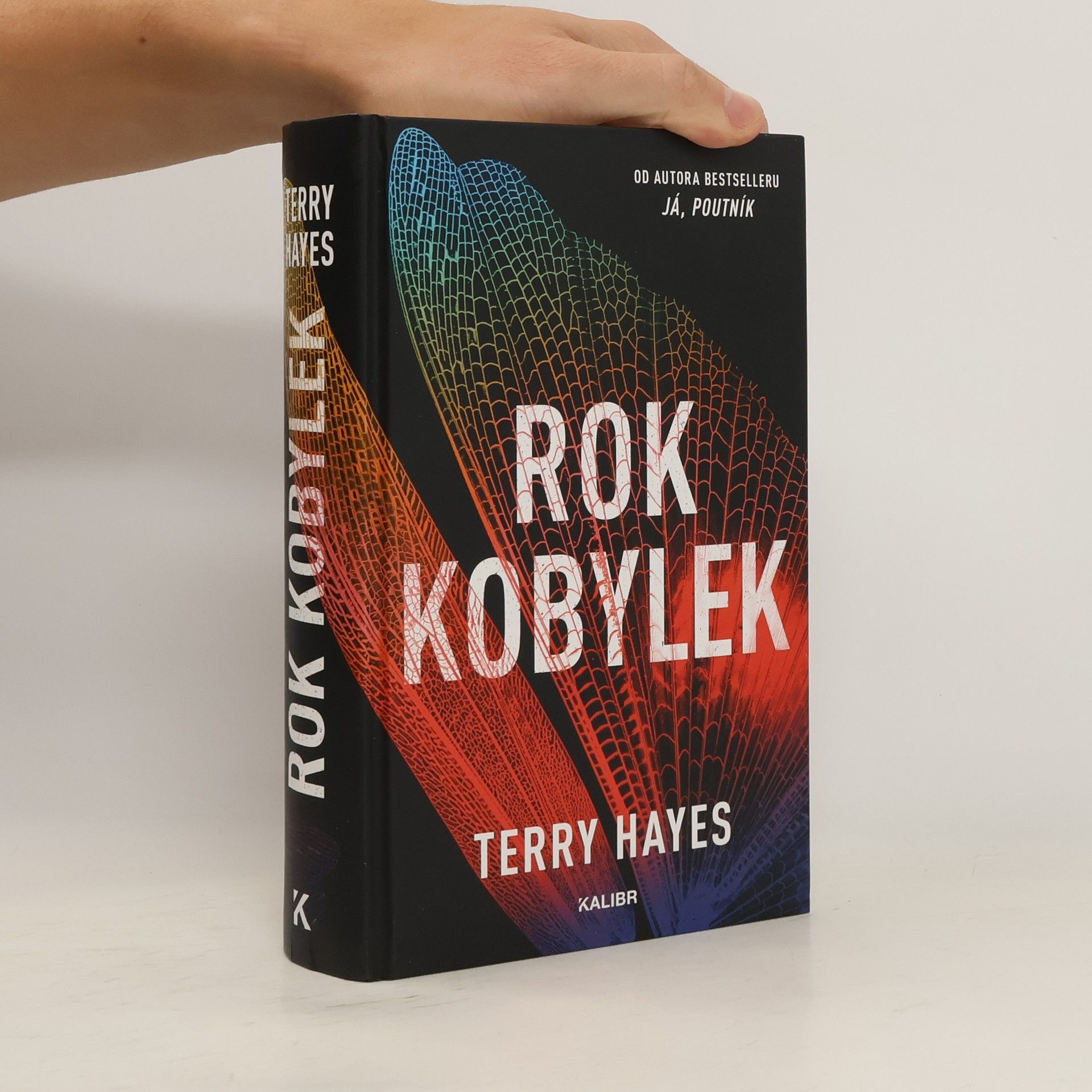 Terry Hayes Rok kobylek