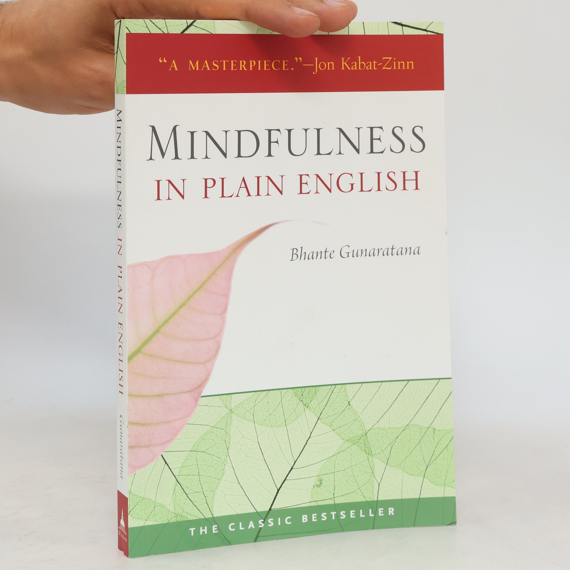 Henepola Gunaratana Mindfulness in plain English