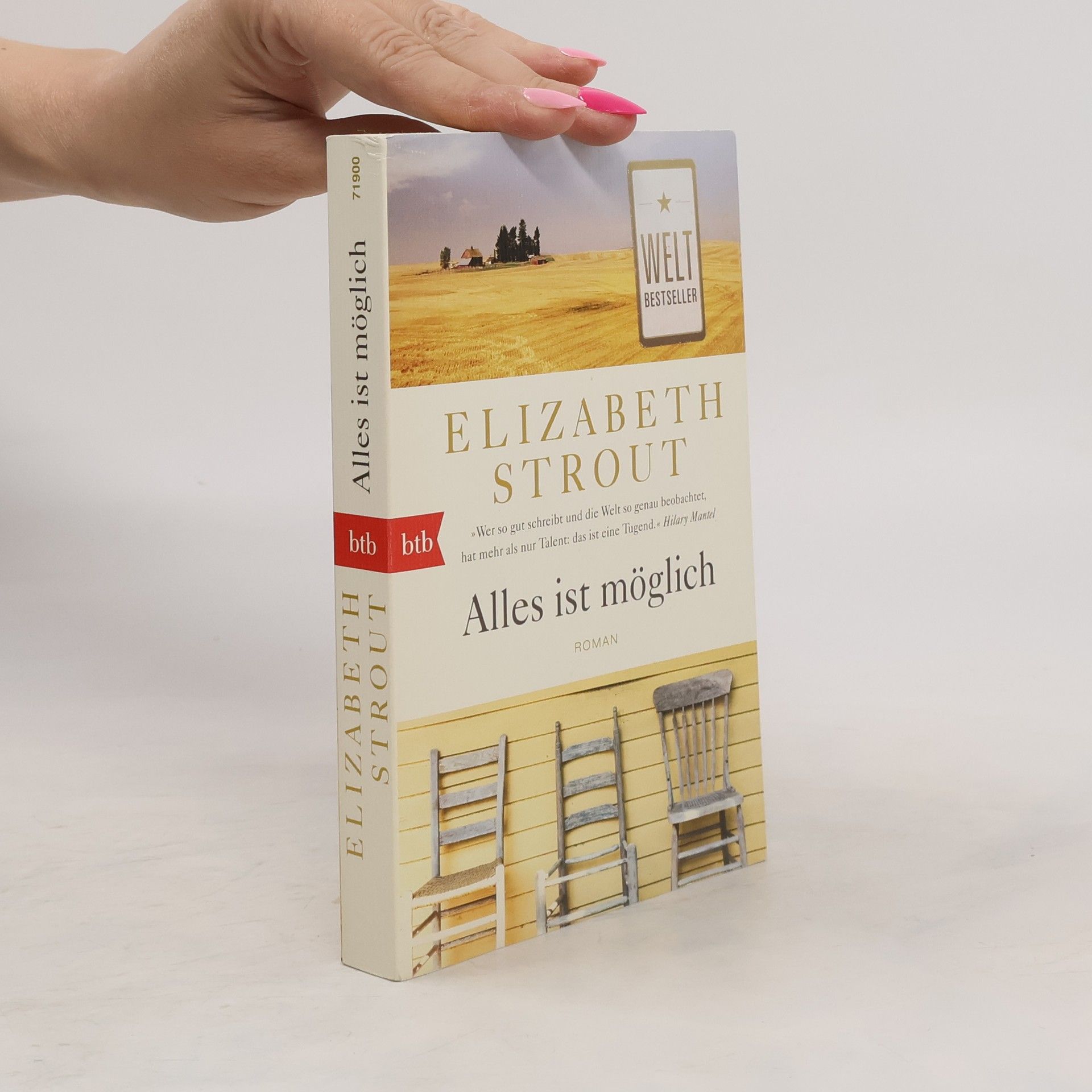Elizabeth Strout Alles ist möglich