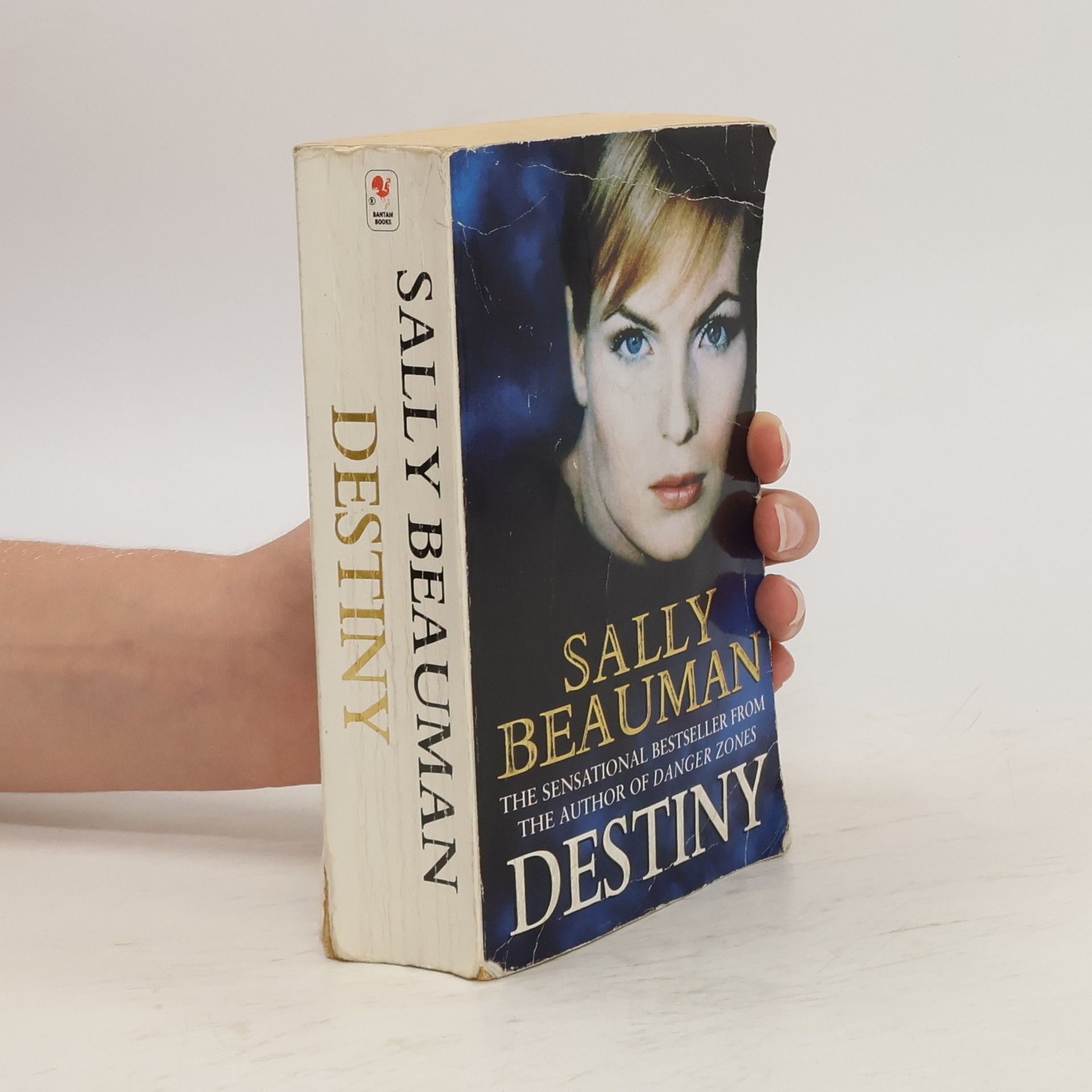 Sally Beauman Destiny