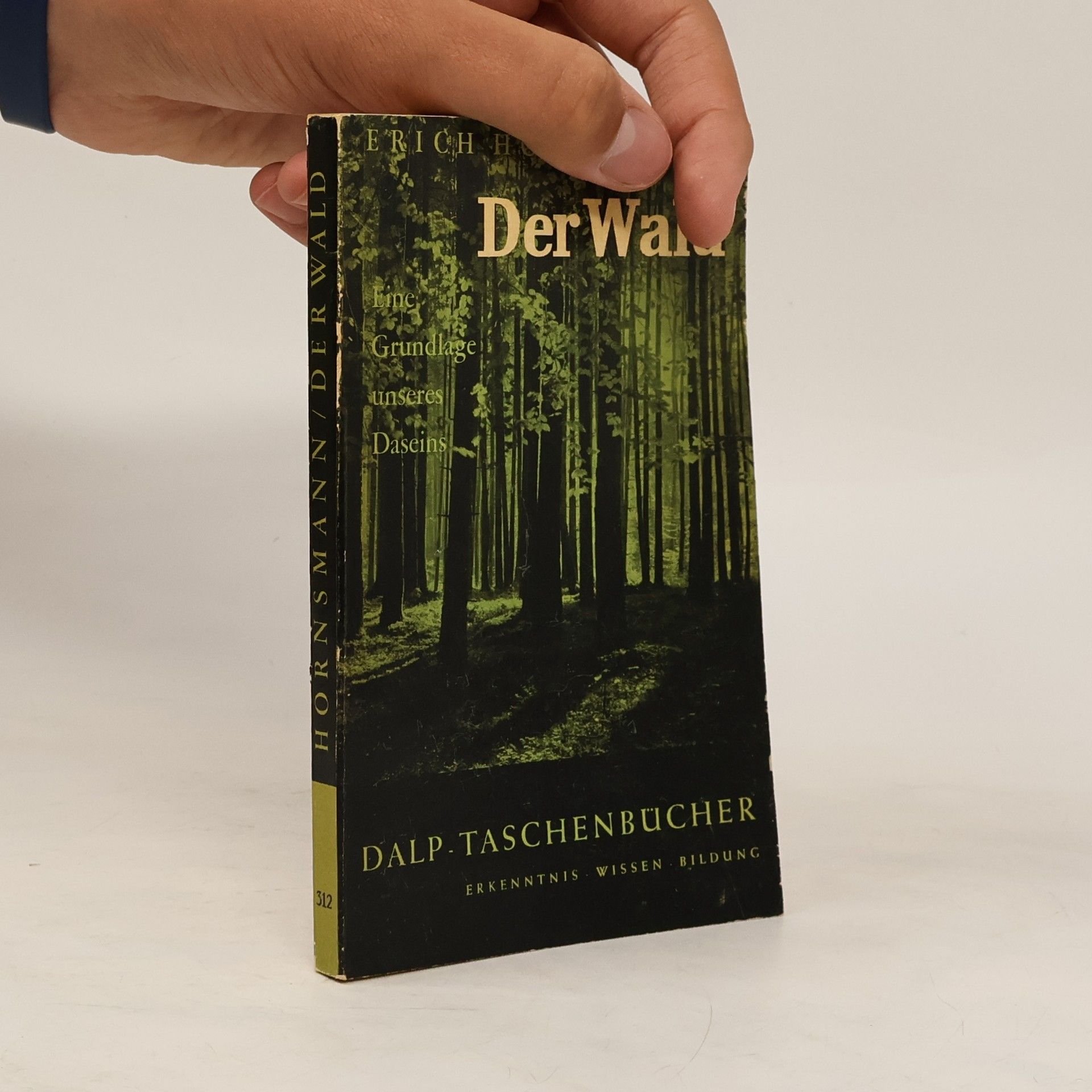 Erich Hornsmann Der Wald