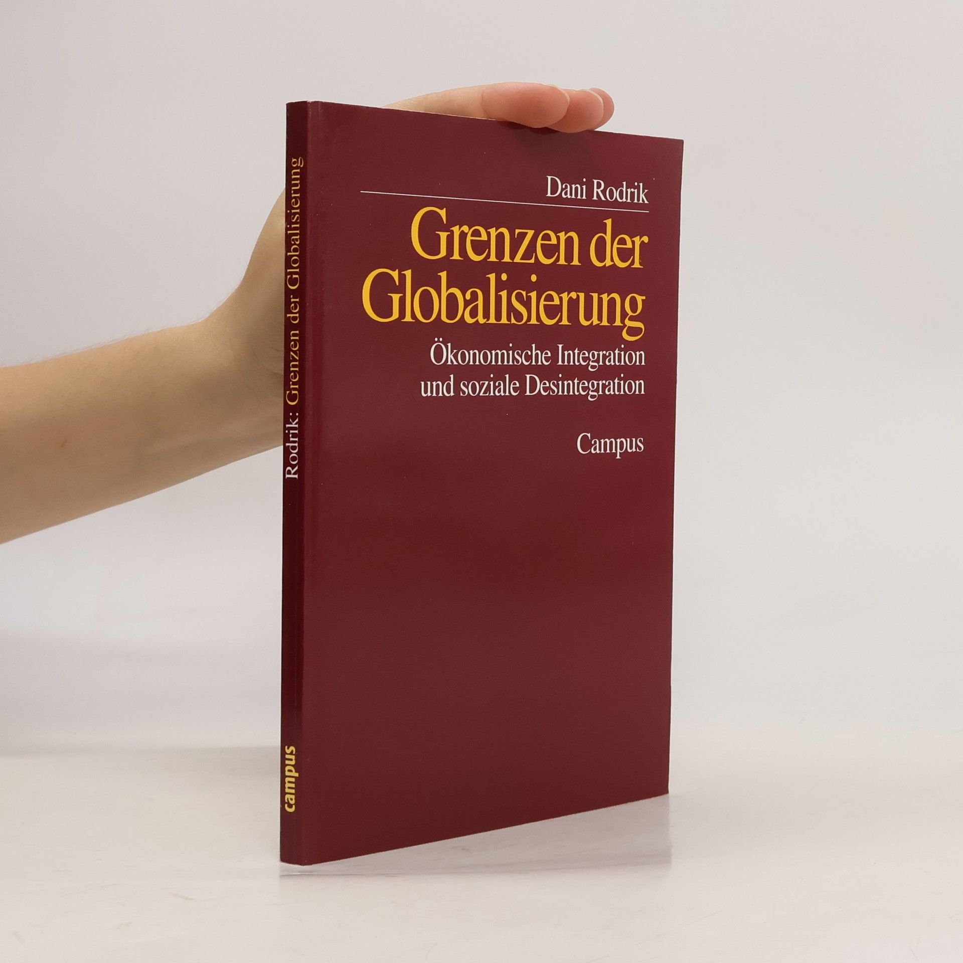 Dani Rodrik Grenzen der Globalisierung