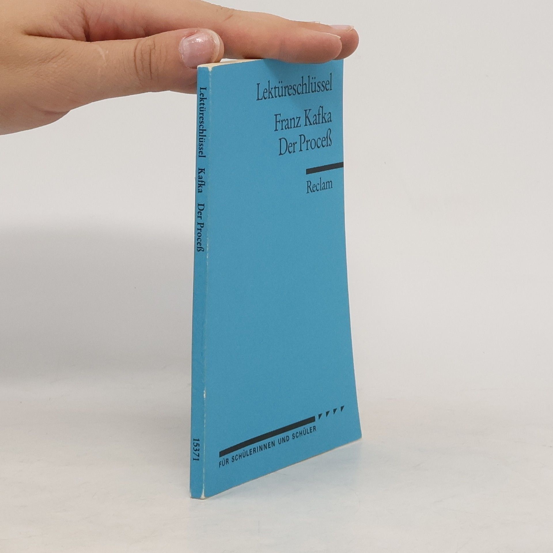 Wilhelm Große Franz Kafka, Der Proceß