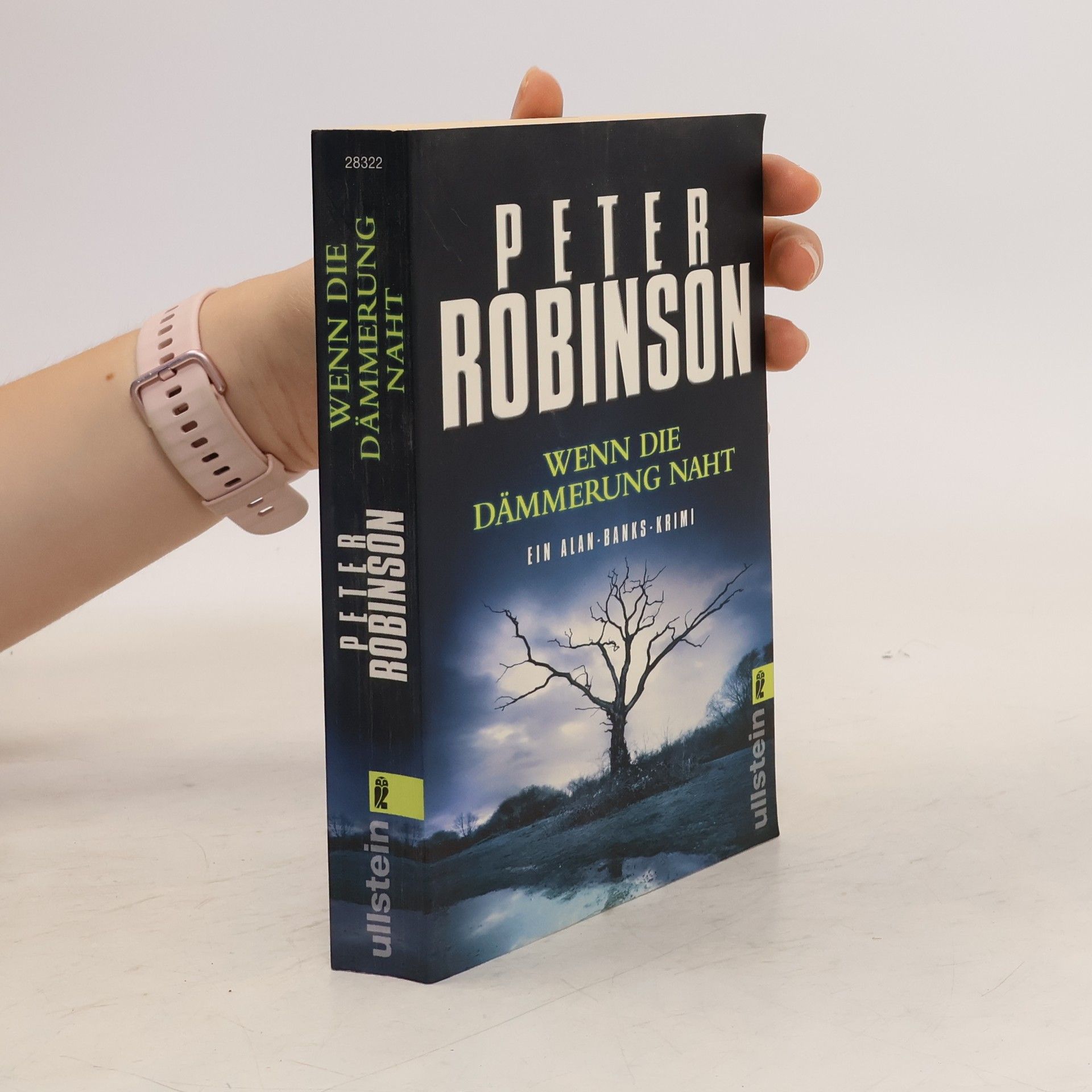 Peter Robinson Wenn die Dämmerung naht