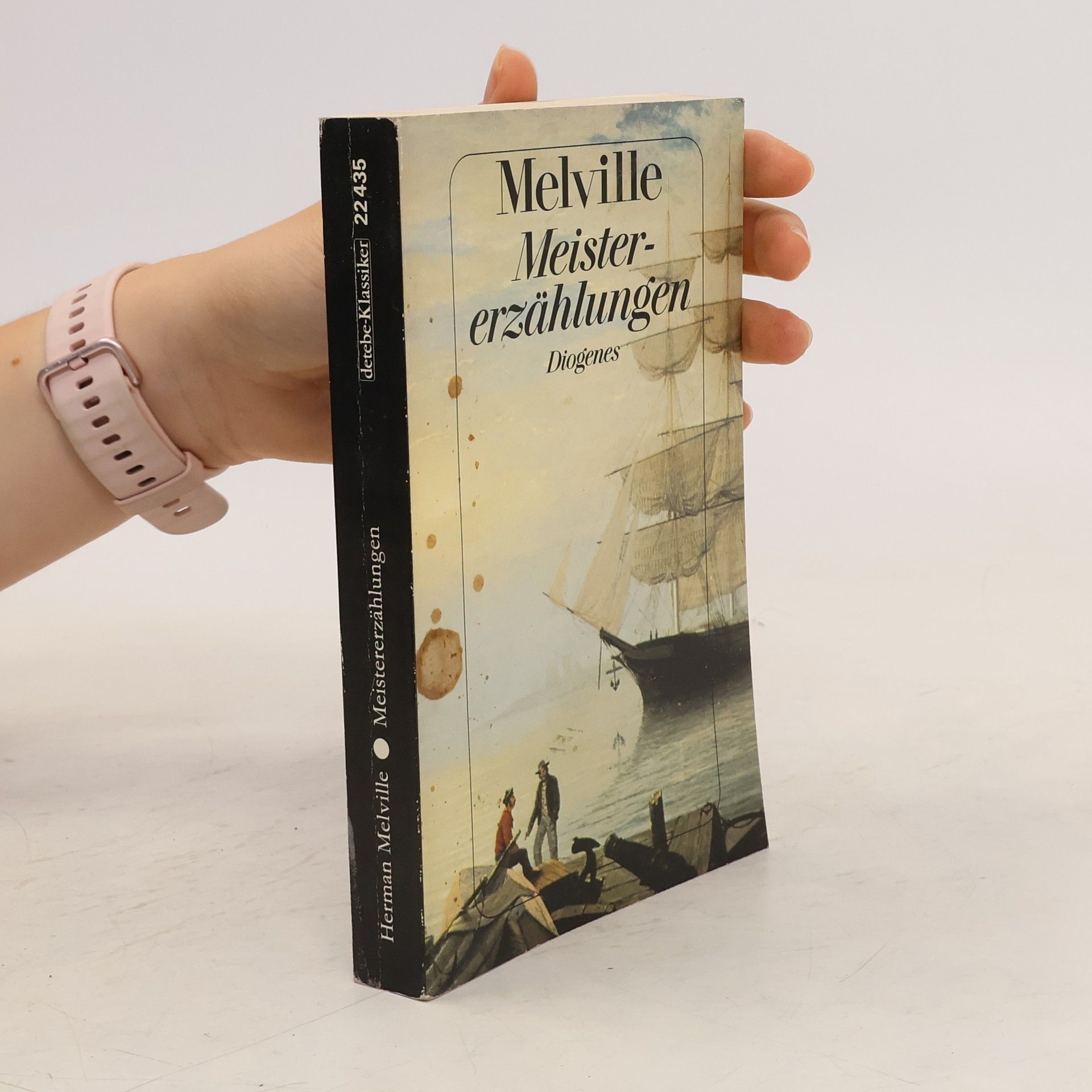 Herman Melville Meistererzählungen