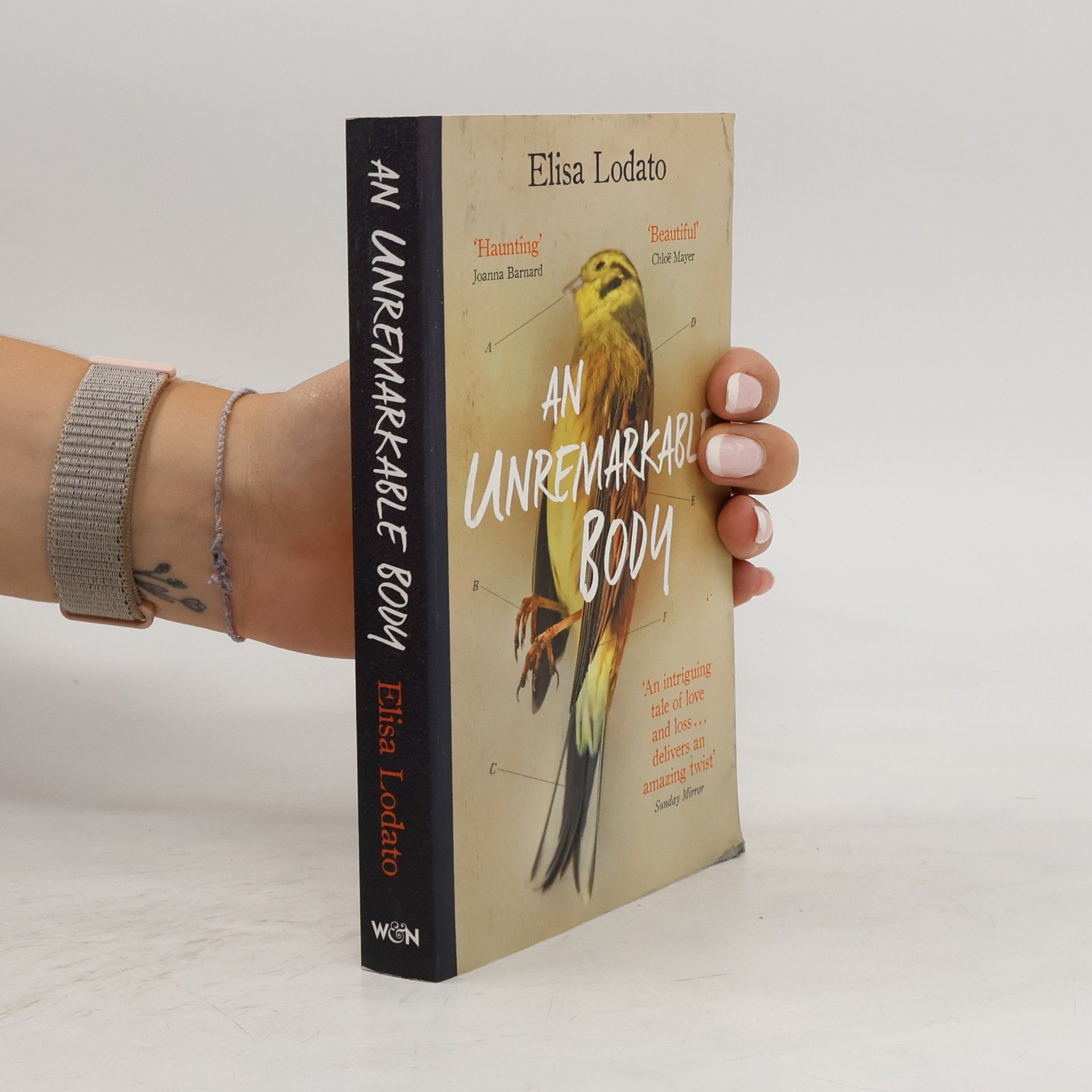 Elisa Lodato An Unremarkable Body