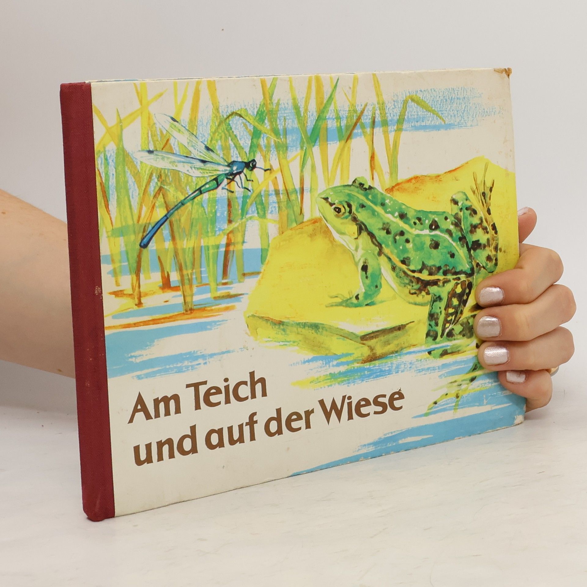 Ruth Kraft Am Teich und auf der Wiese