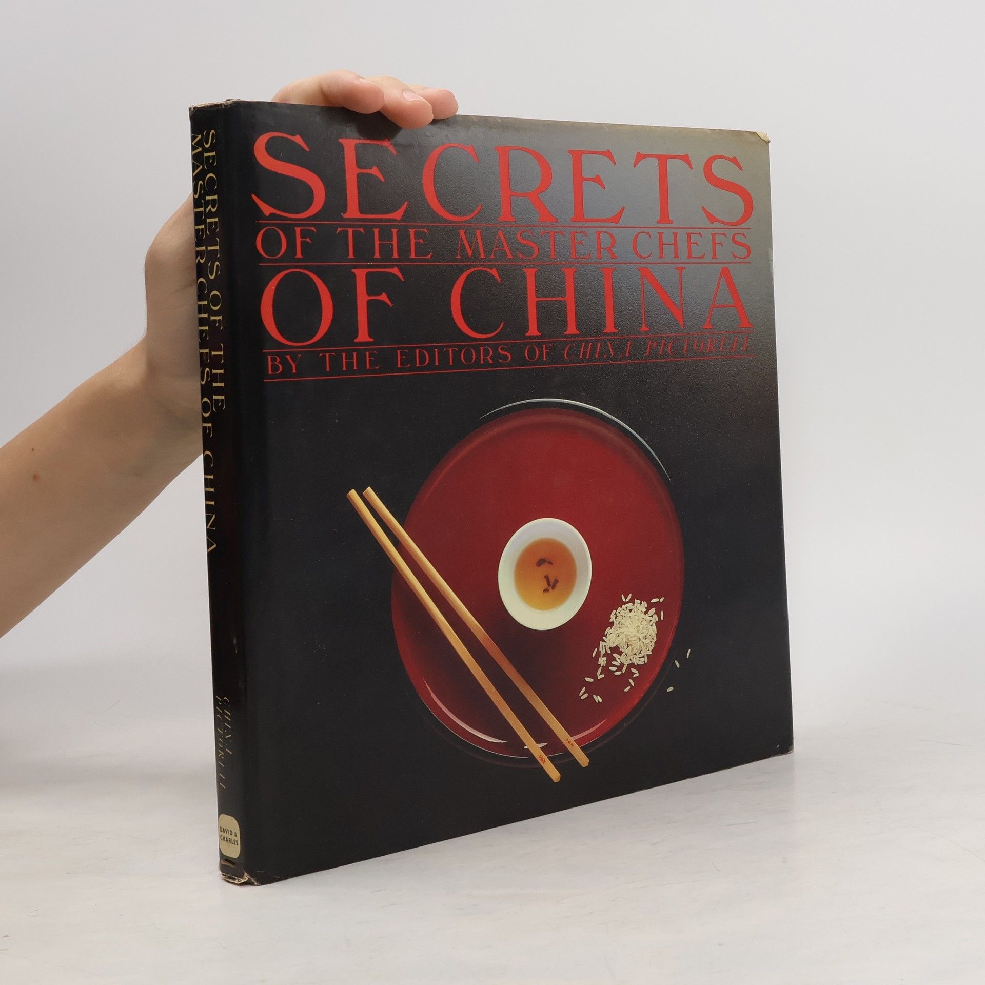 Kolektiv autorů Secrets of the Master Chefs of China