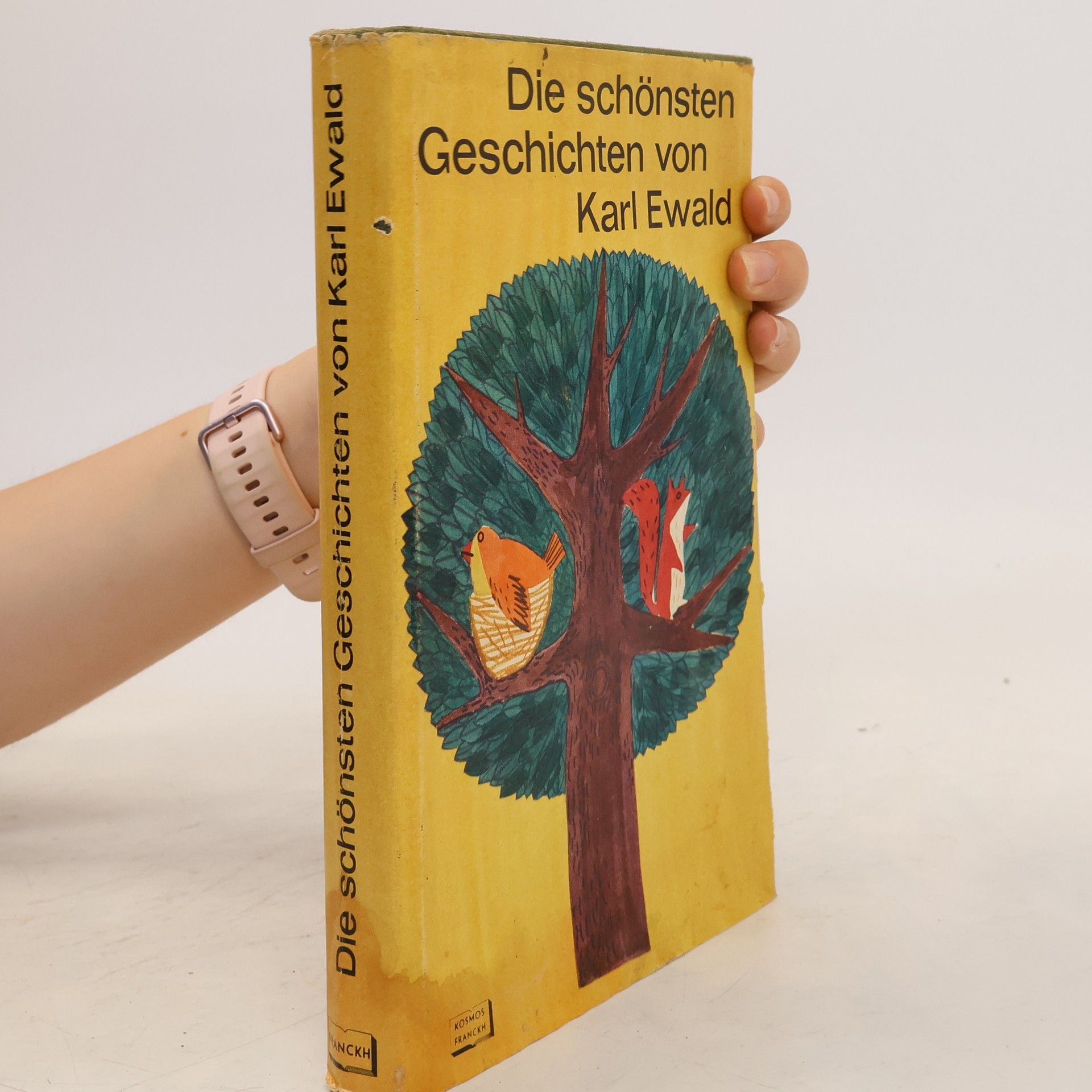 Karl Ewald Die schönsten Geschichten