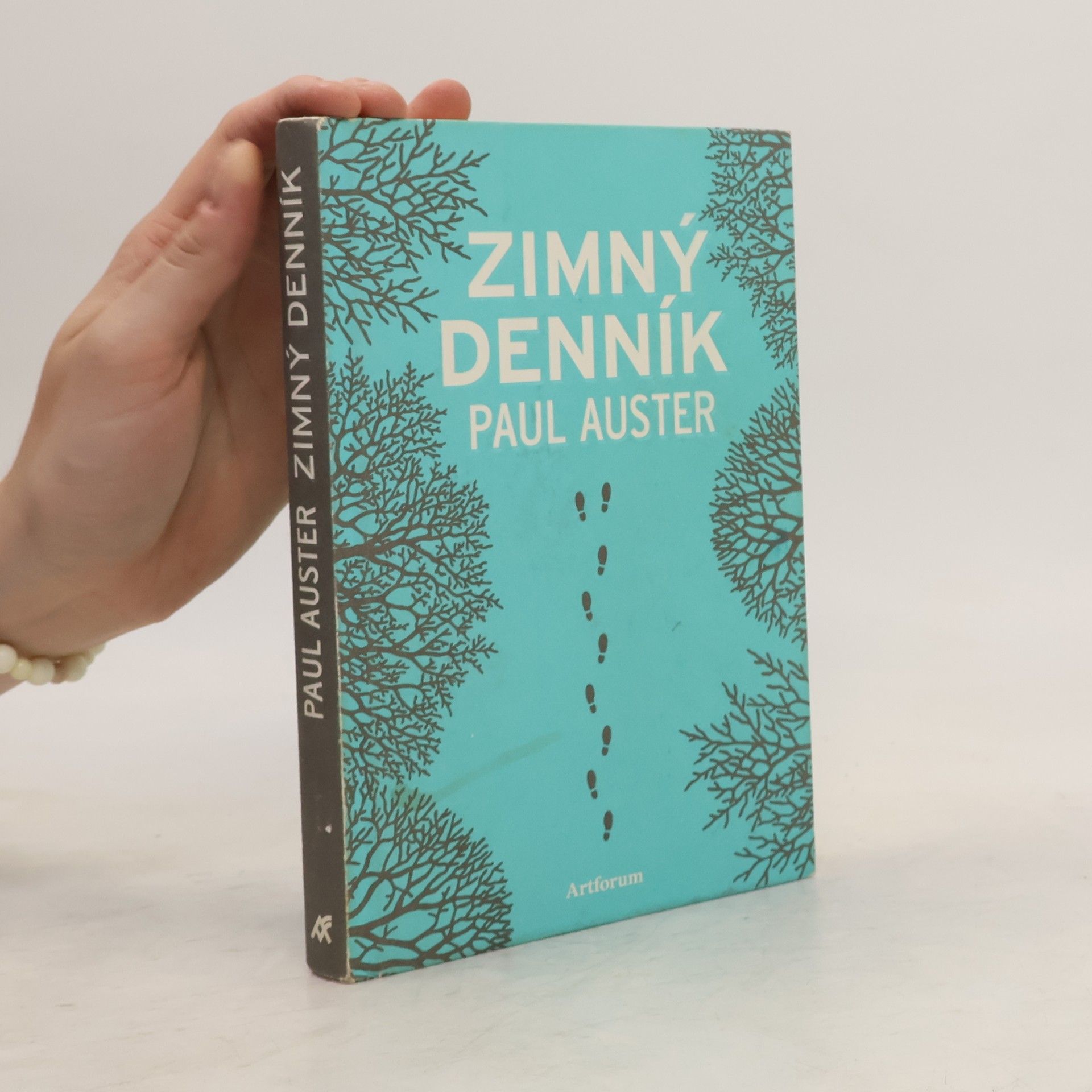 Paul Auster Zimný Denník