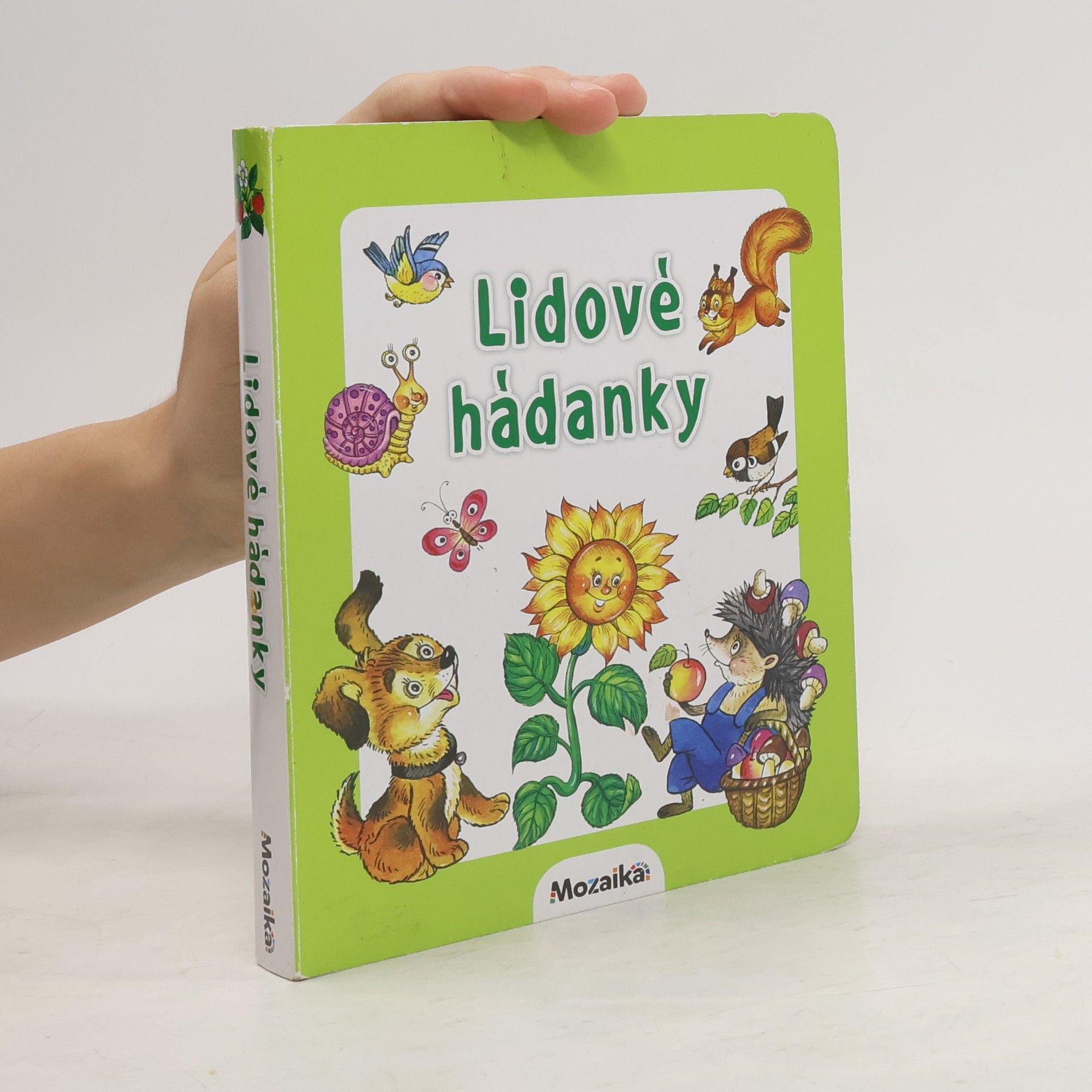 Autorenkollektiv Lidové hádanky