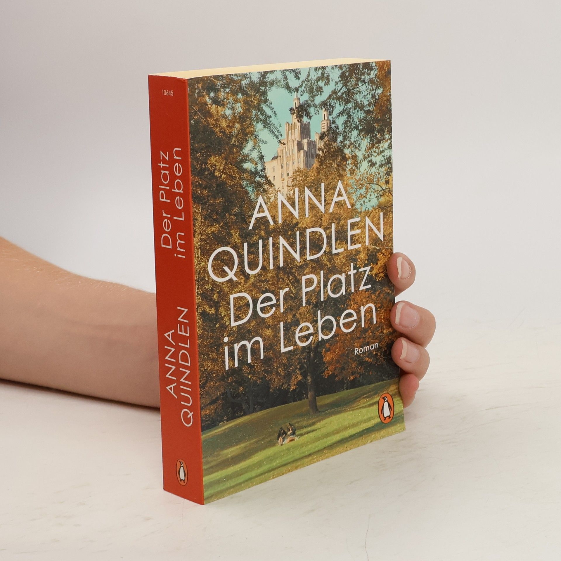 Anna Quindlen Der Platz im Leben