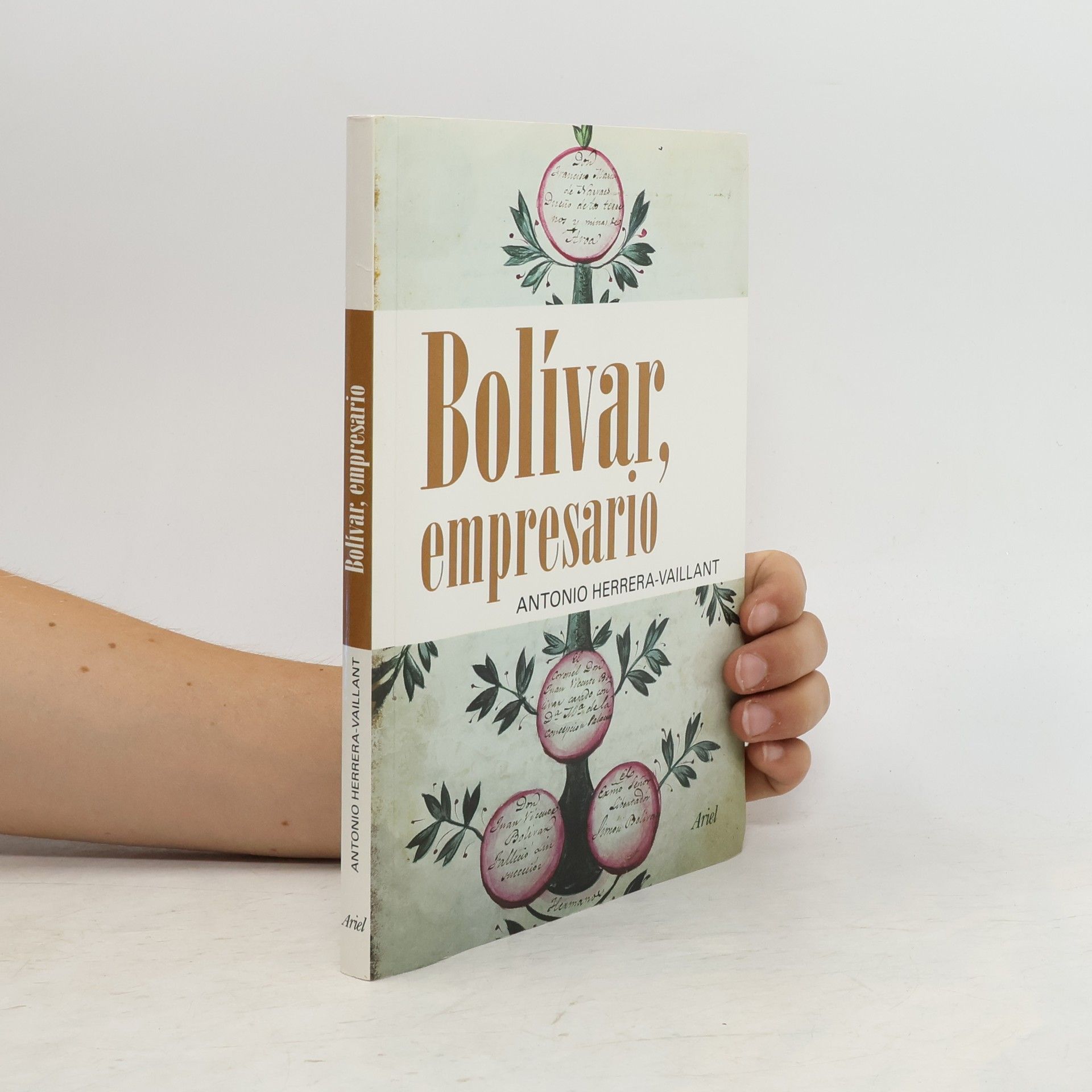 Antonio Herrera-Vaillant Bolívar, empresario