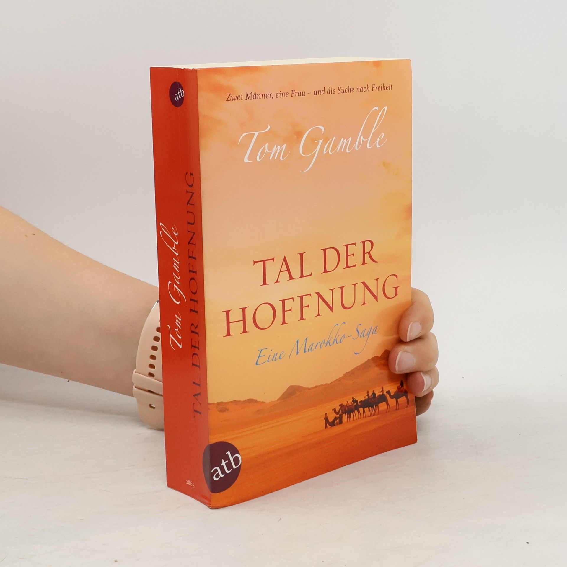 Tom Gamble Tal der Hoffnung