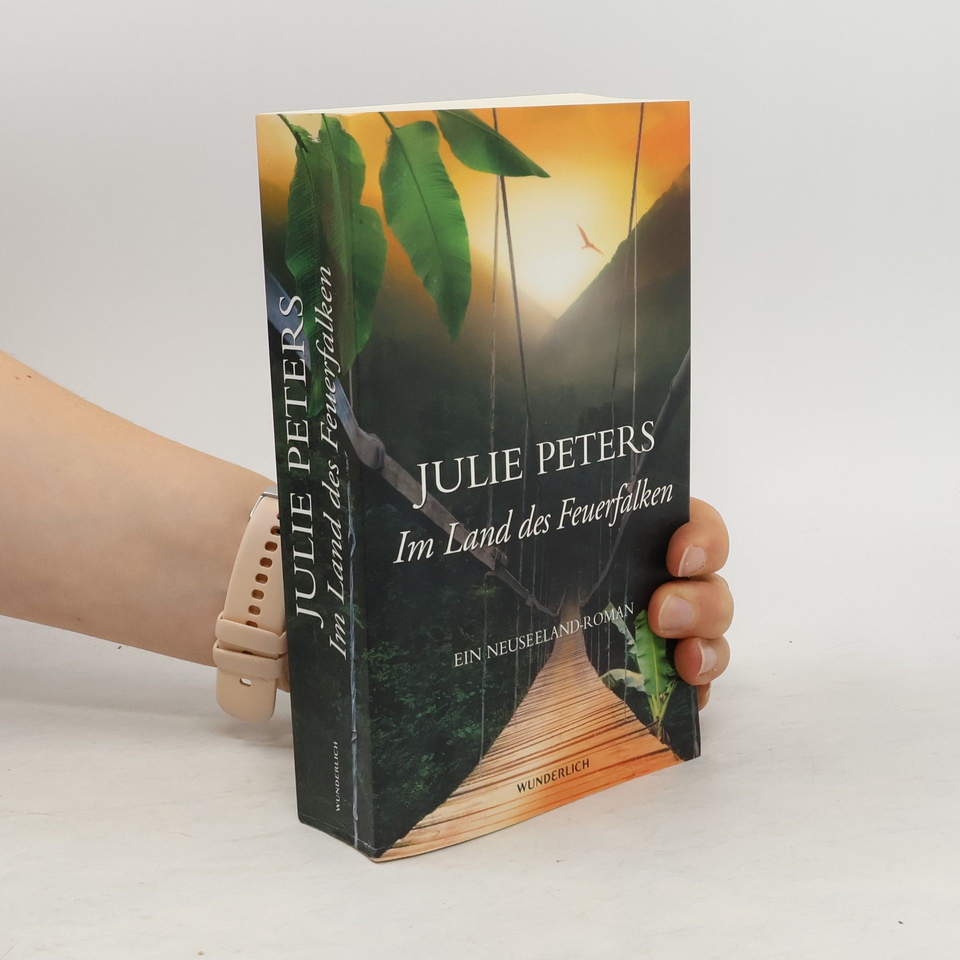 Julie Peters Im Land des Feuerfalken
