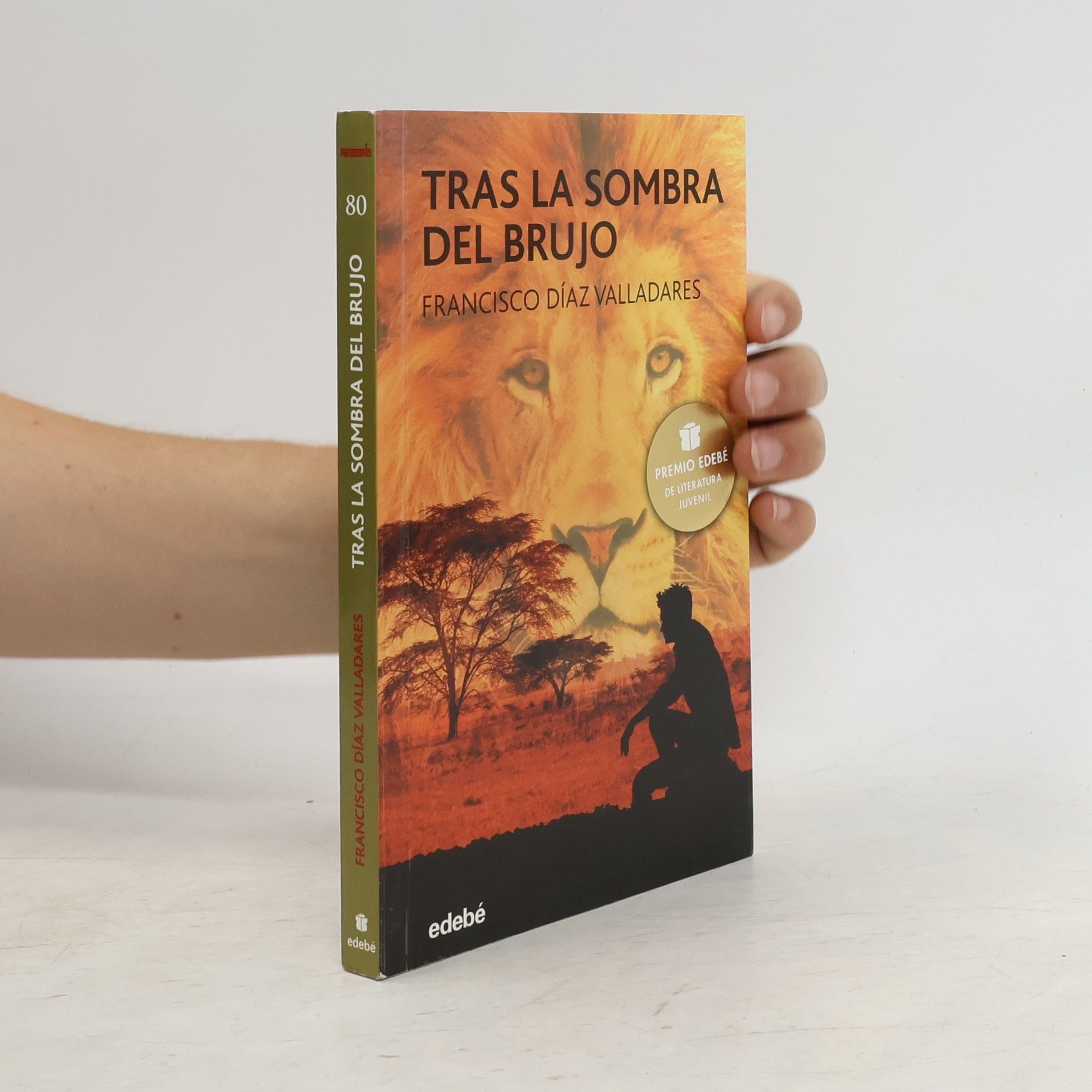 Francisco Díaz Valladares Tras la sombra del brujo
