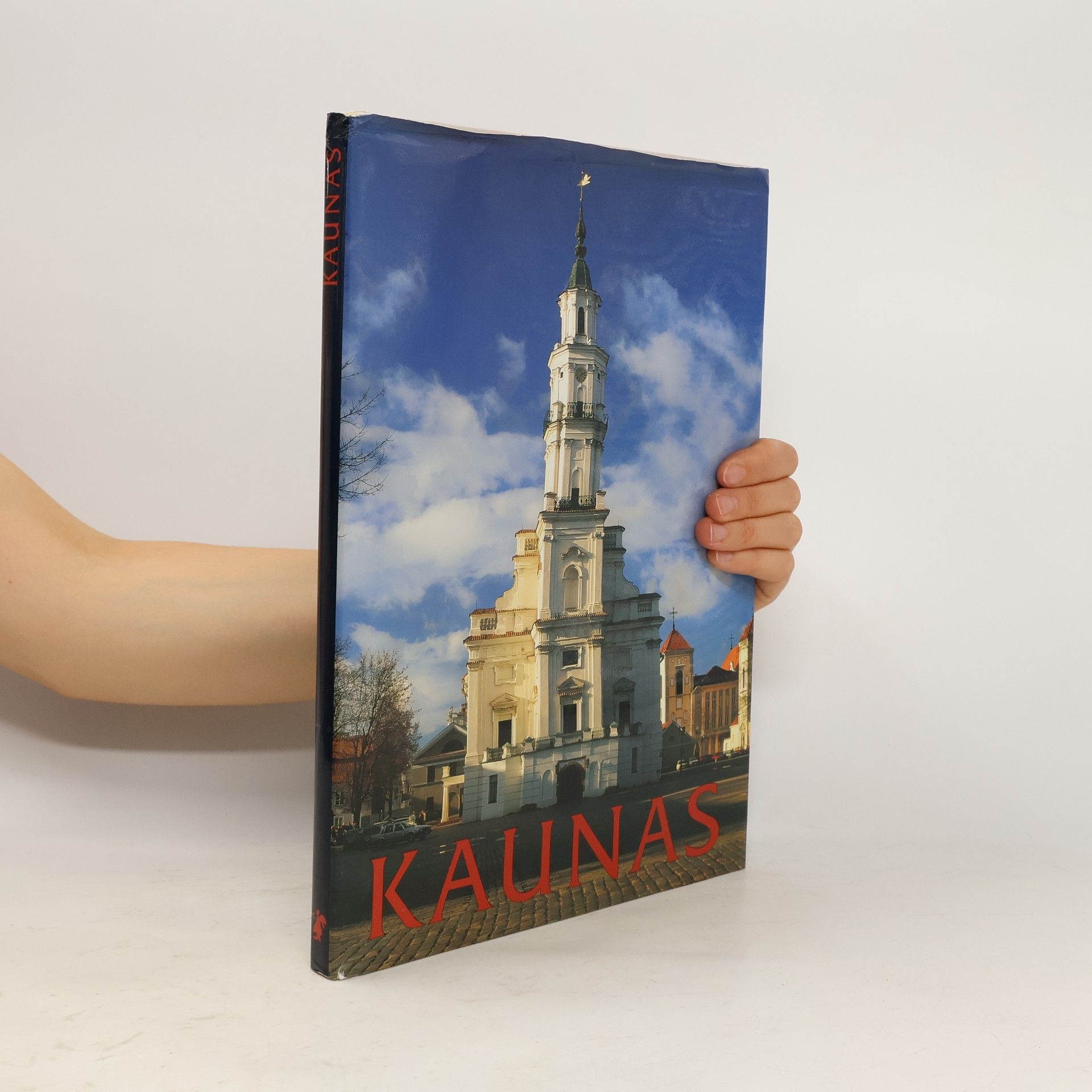Audra Kairienė Kaunas