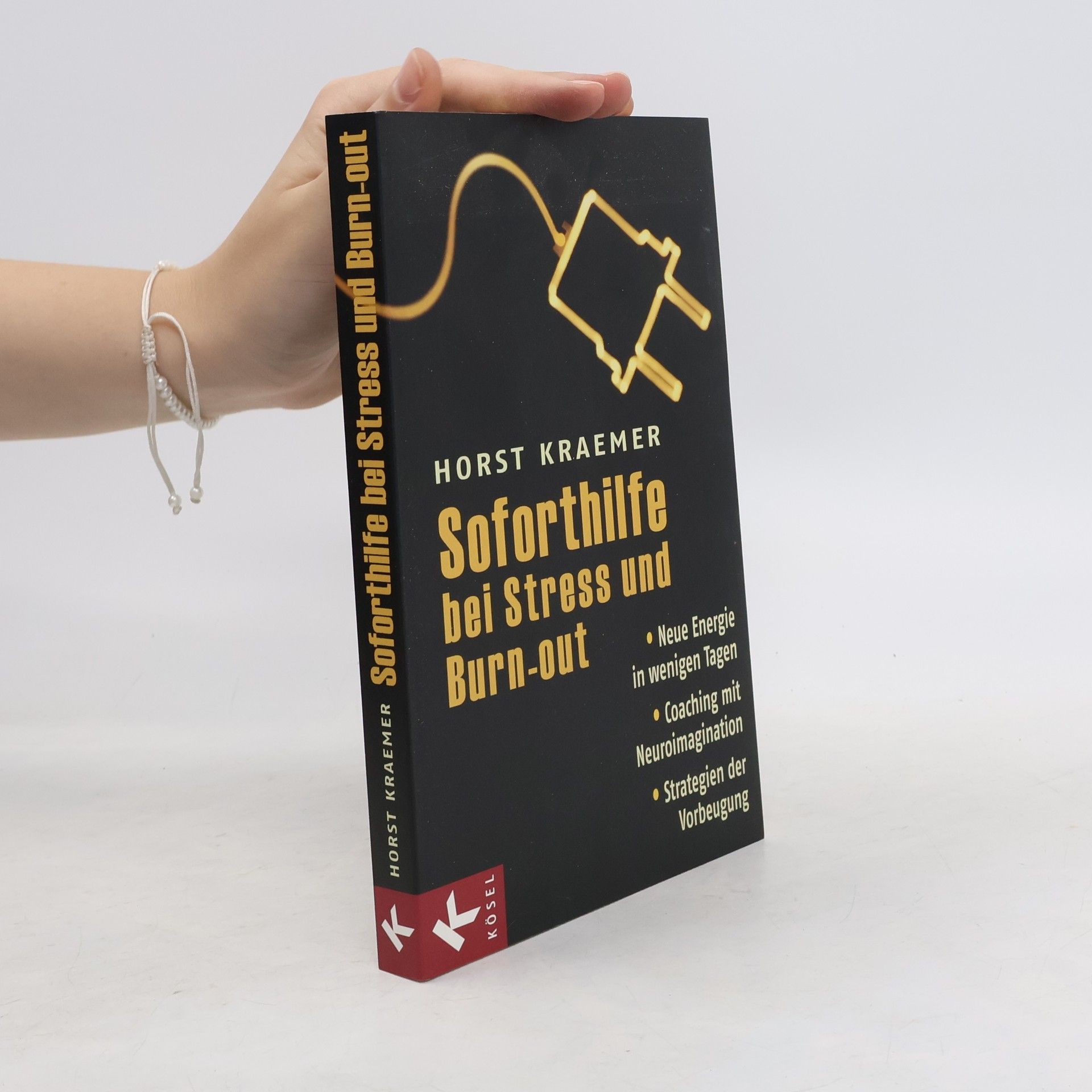 Horst Kraemer Soforthilfe bei Stress und Burn-out