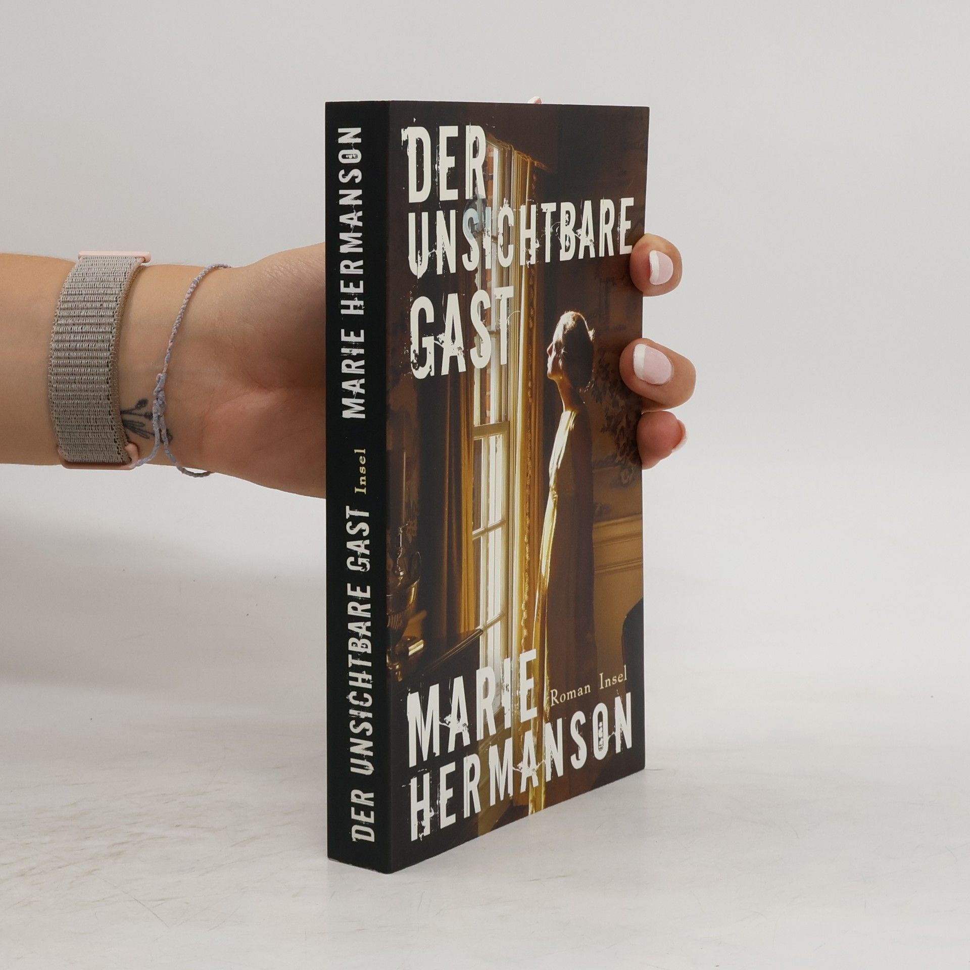 Marie Hermanson Der unsichtbare Gast