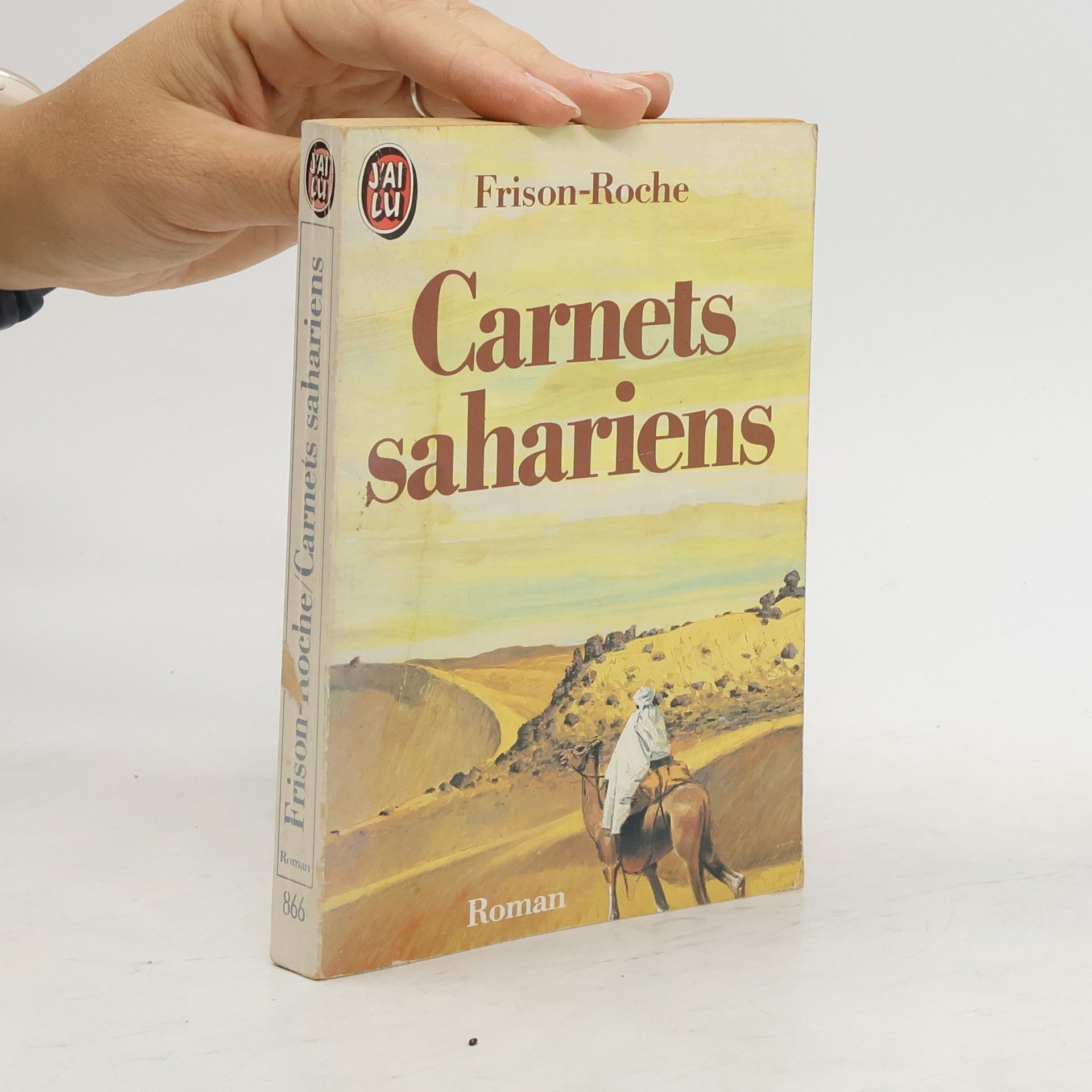 Roger Frison-Roche Carnets sahariens