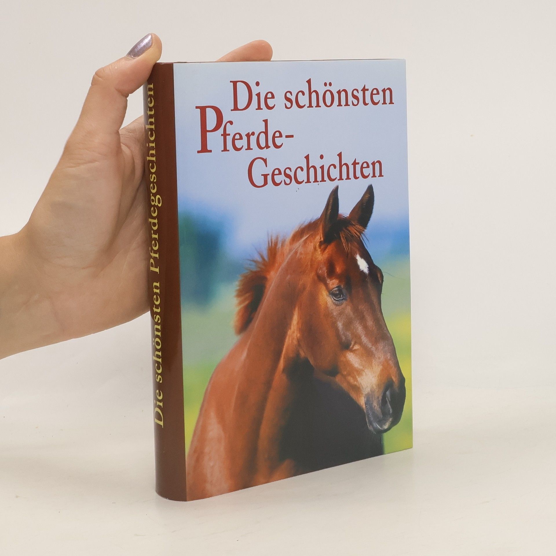 Kolektiv autorů Die schönsten Pferde-Geschichten
