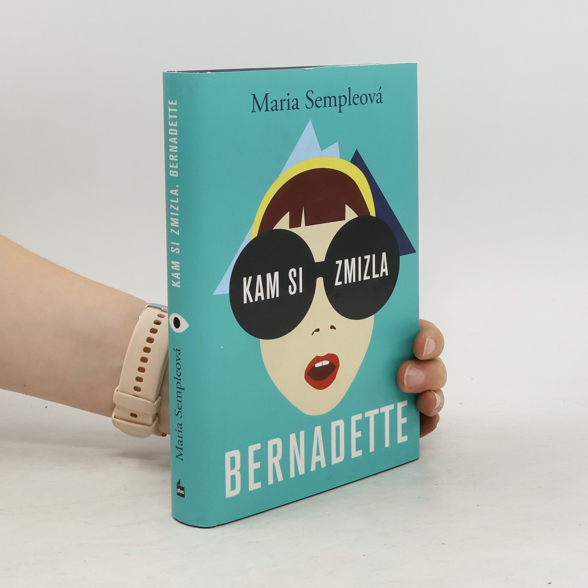 Maria Semple Kam si zmizla, Bernadette