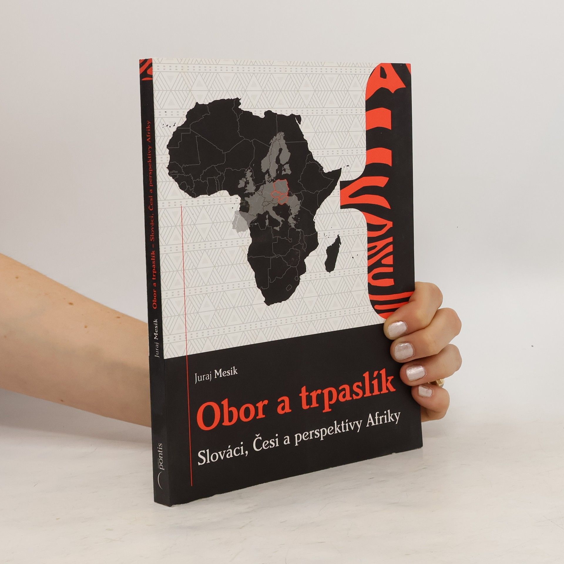 Juraj Mesík Obor a trpaslík : Slováci, Česi a perspektívy Afriky
