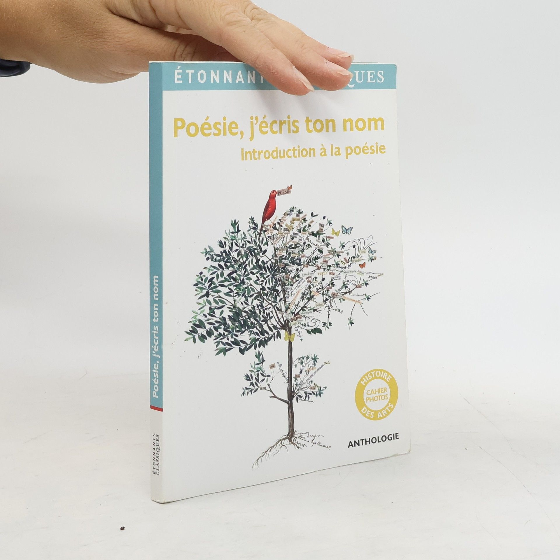 Alyette de Béru Poésie, j'écris ton nom