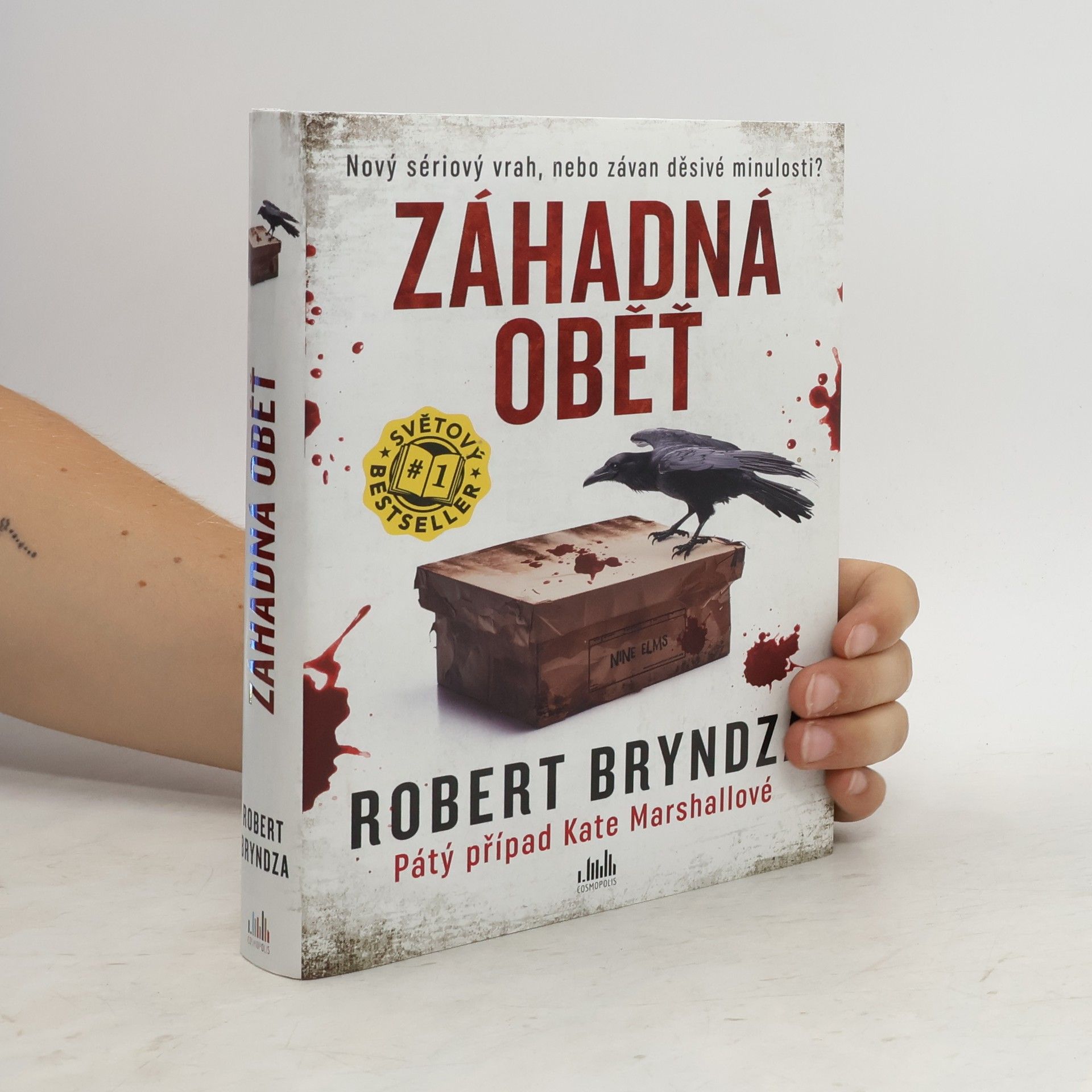 Robert Bryndza Záhadná oběť
