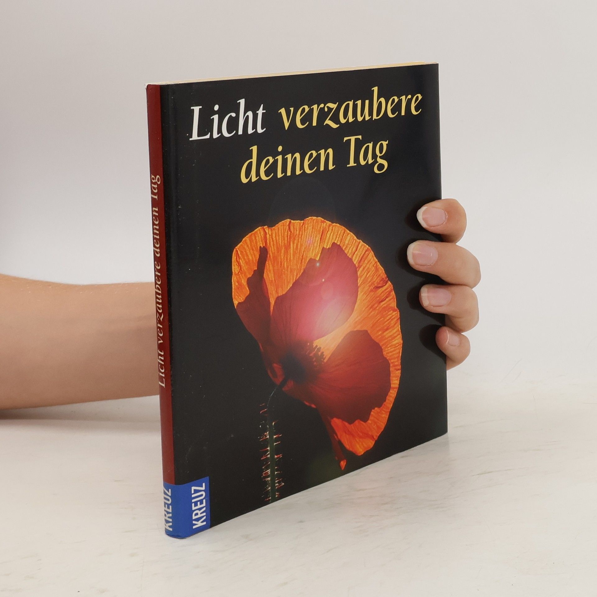 Bernhard Volmer Licht verzaubere deinen Tag