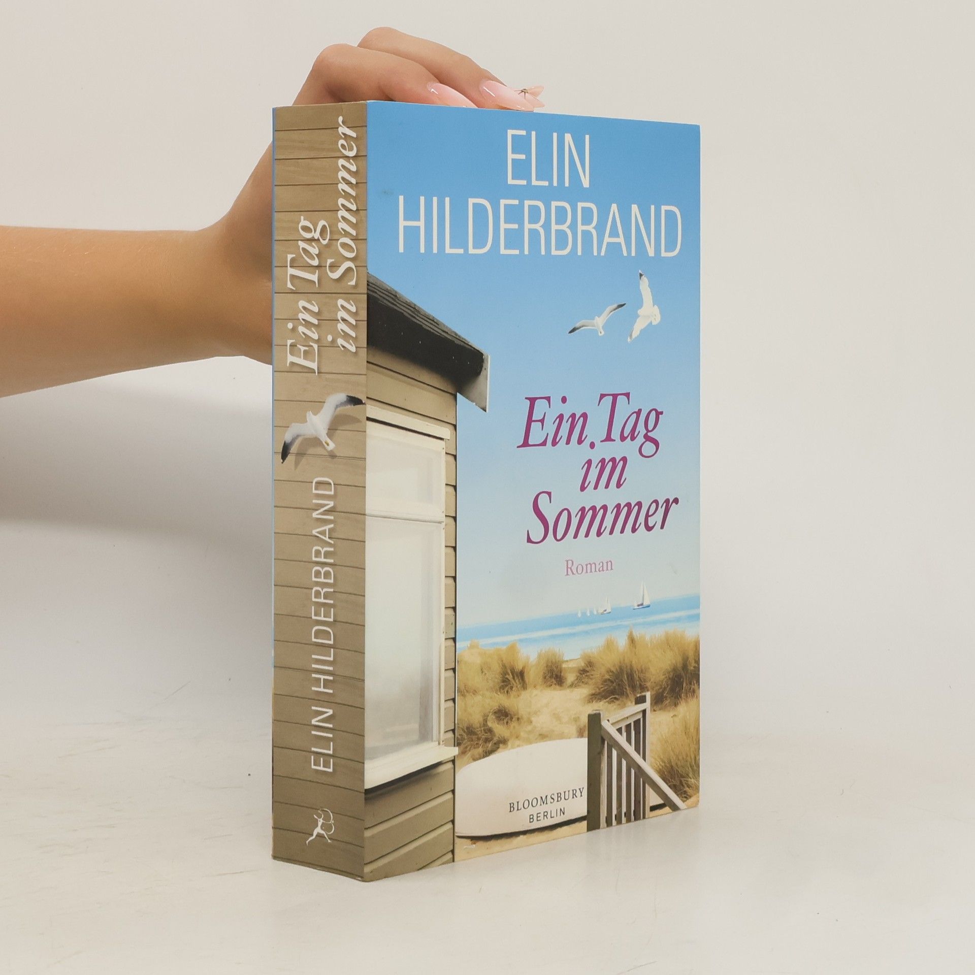 Elin Hilderbrand Ein Tag im Sommer
