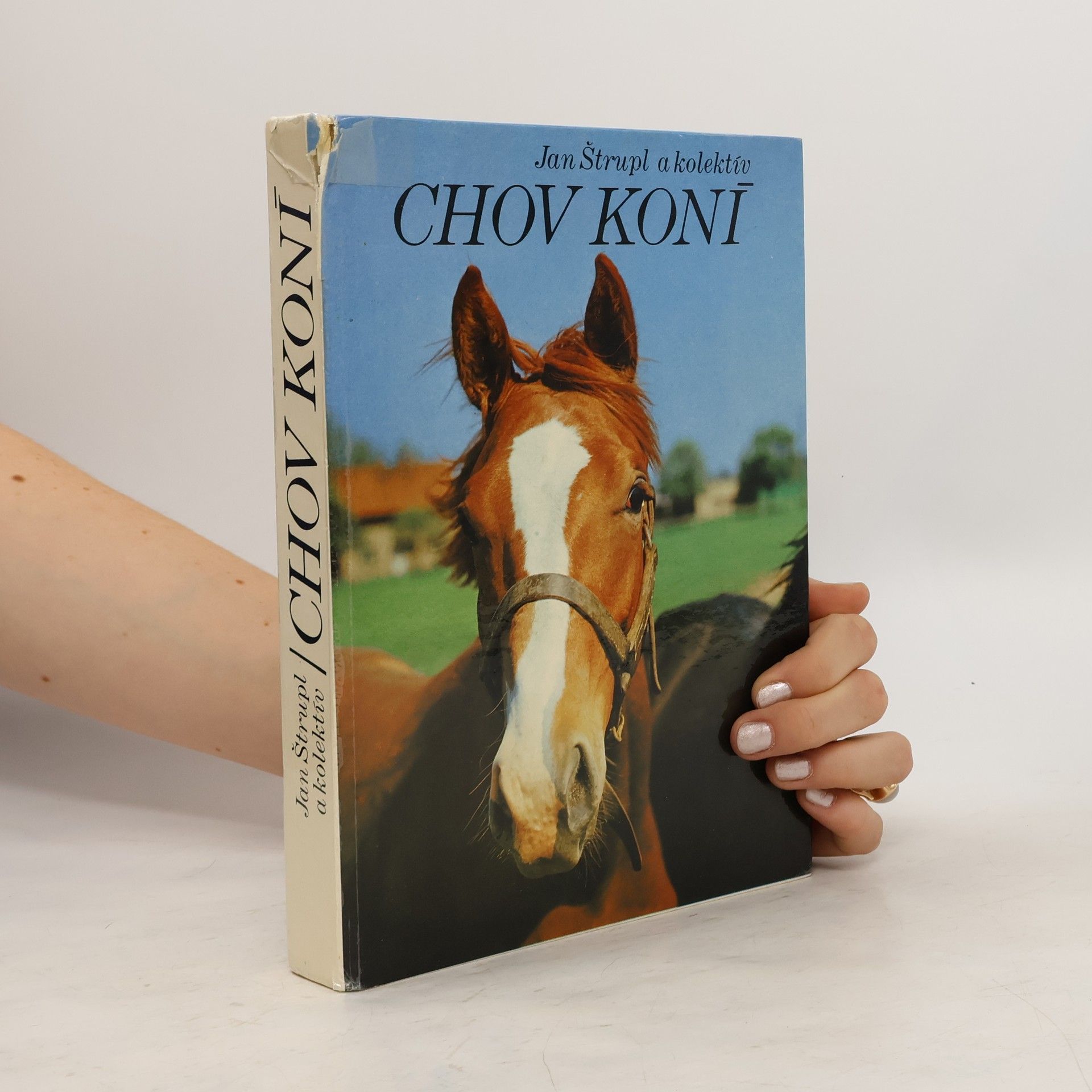 Jan Štrupl Chov koní