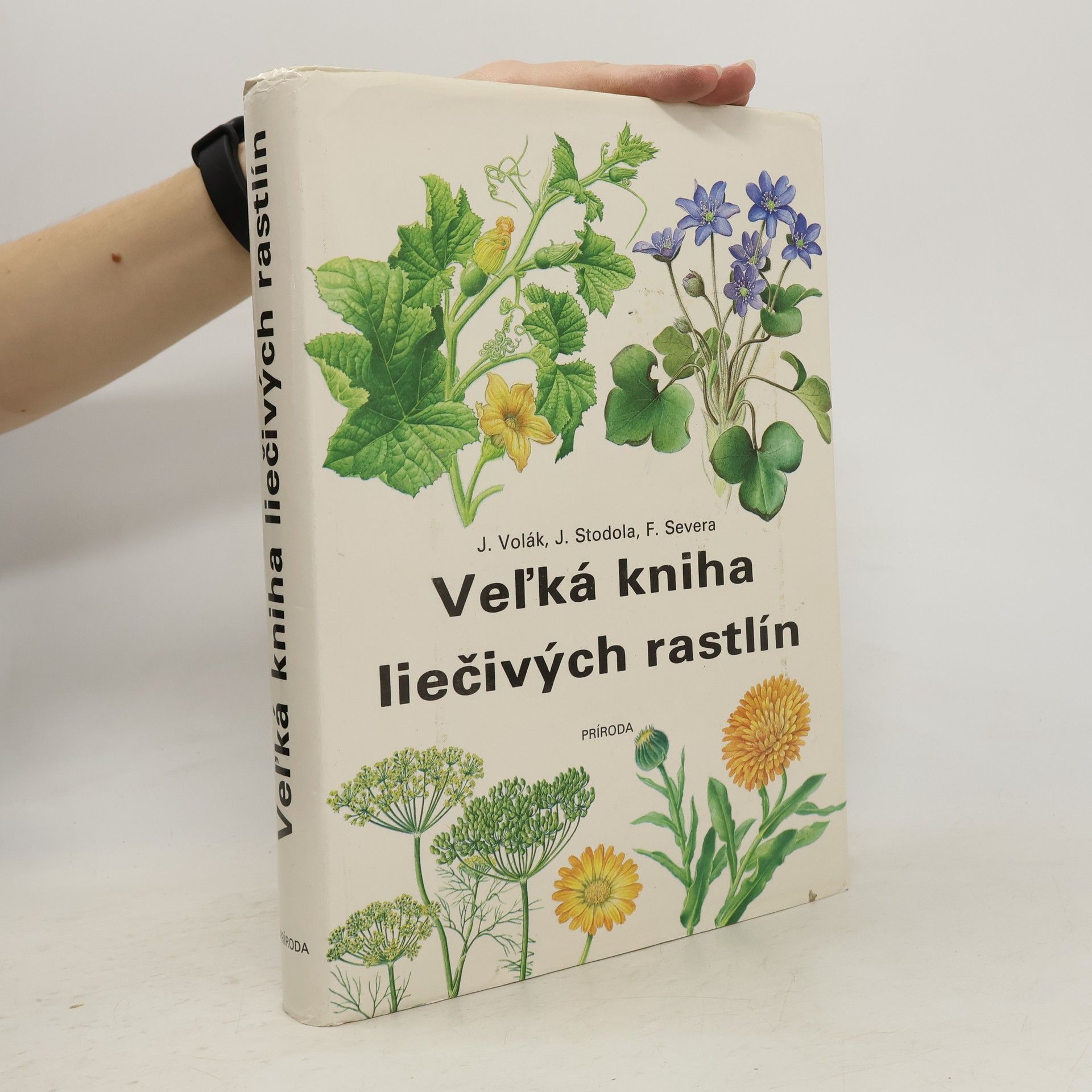 Jiří Stodola Veľká kniha liečivých rastlín