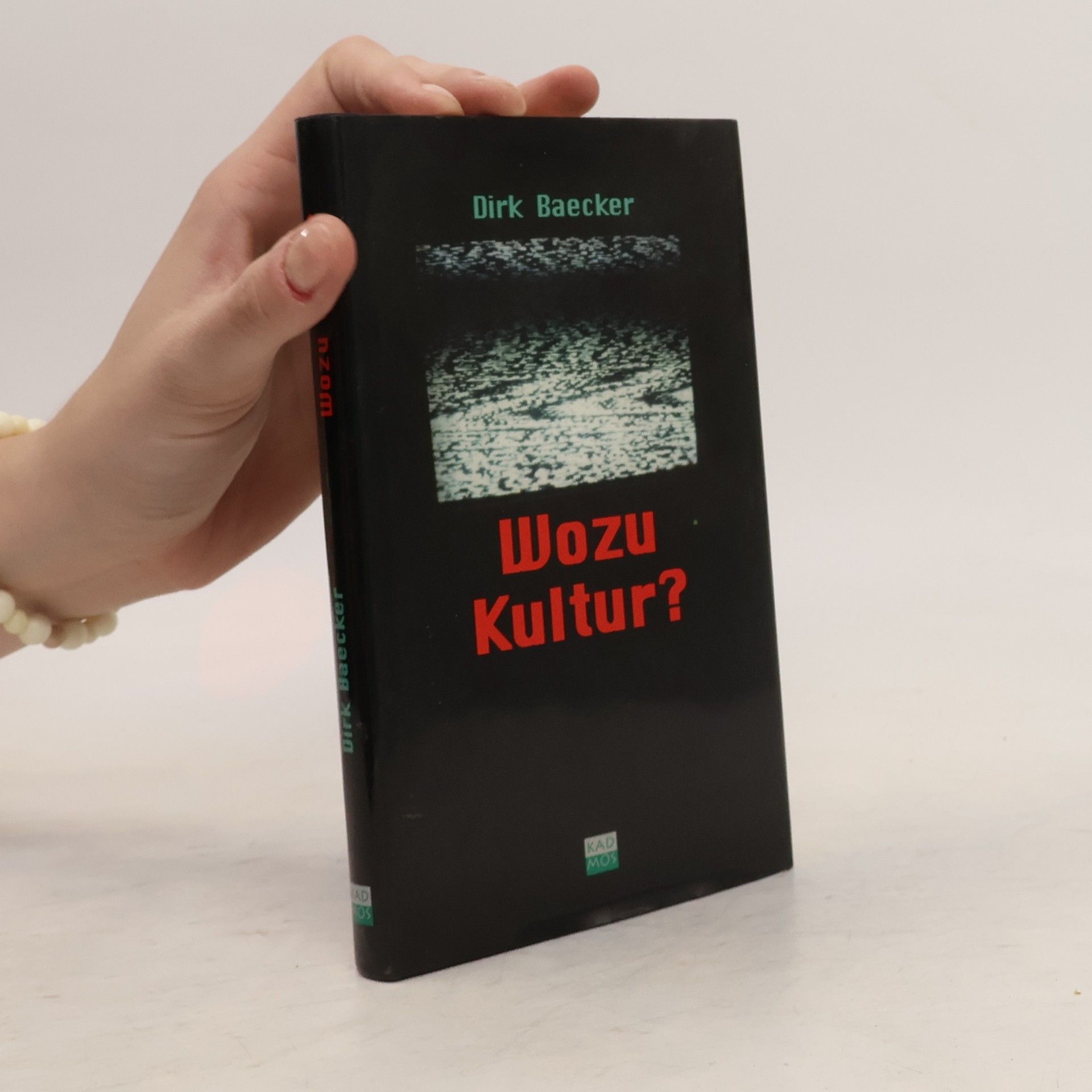 Dirk Baecker Wozu Kultur?
